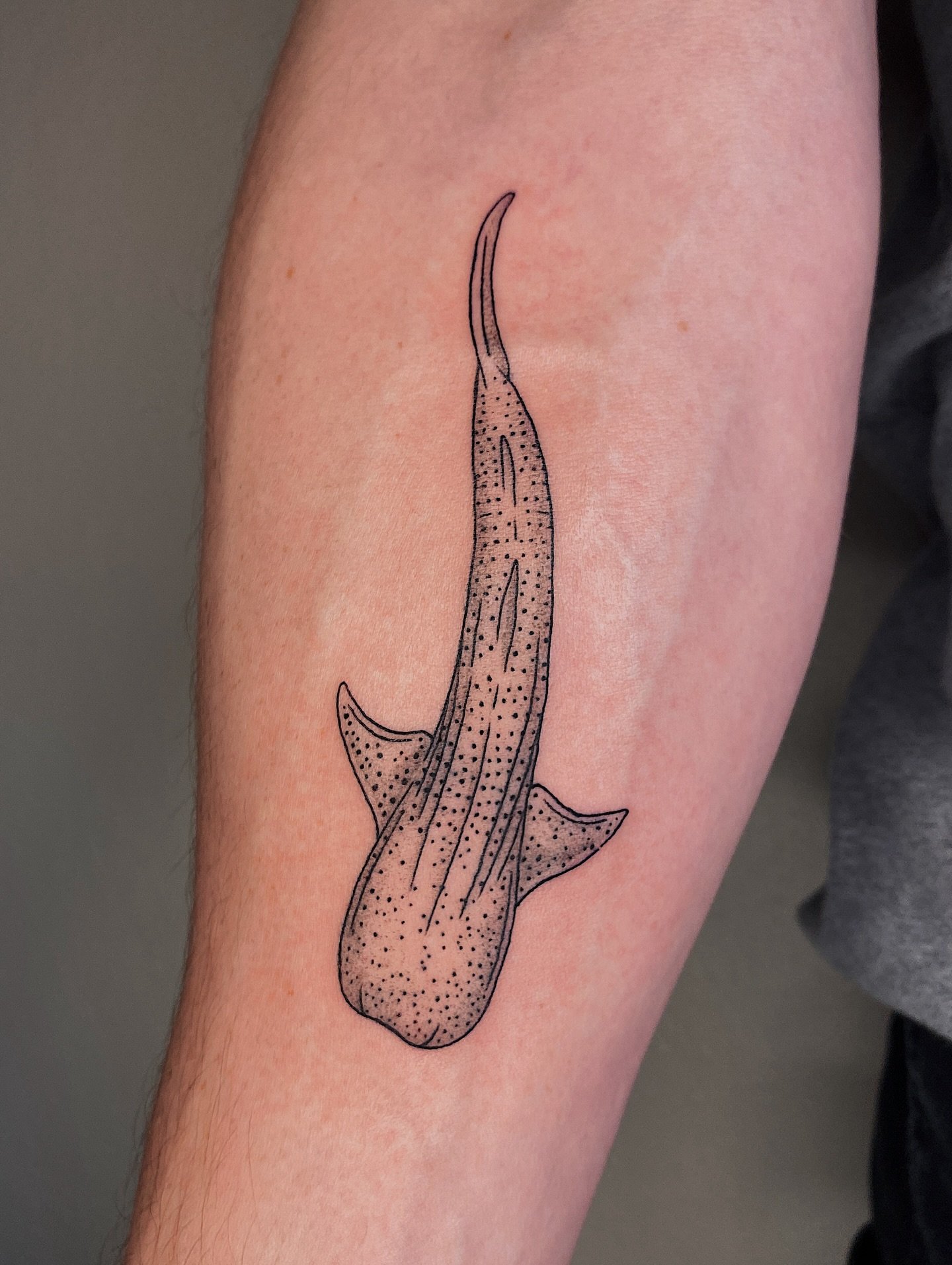 Whale shark for Jack&rsquo;s first tattoo!