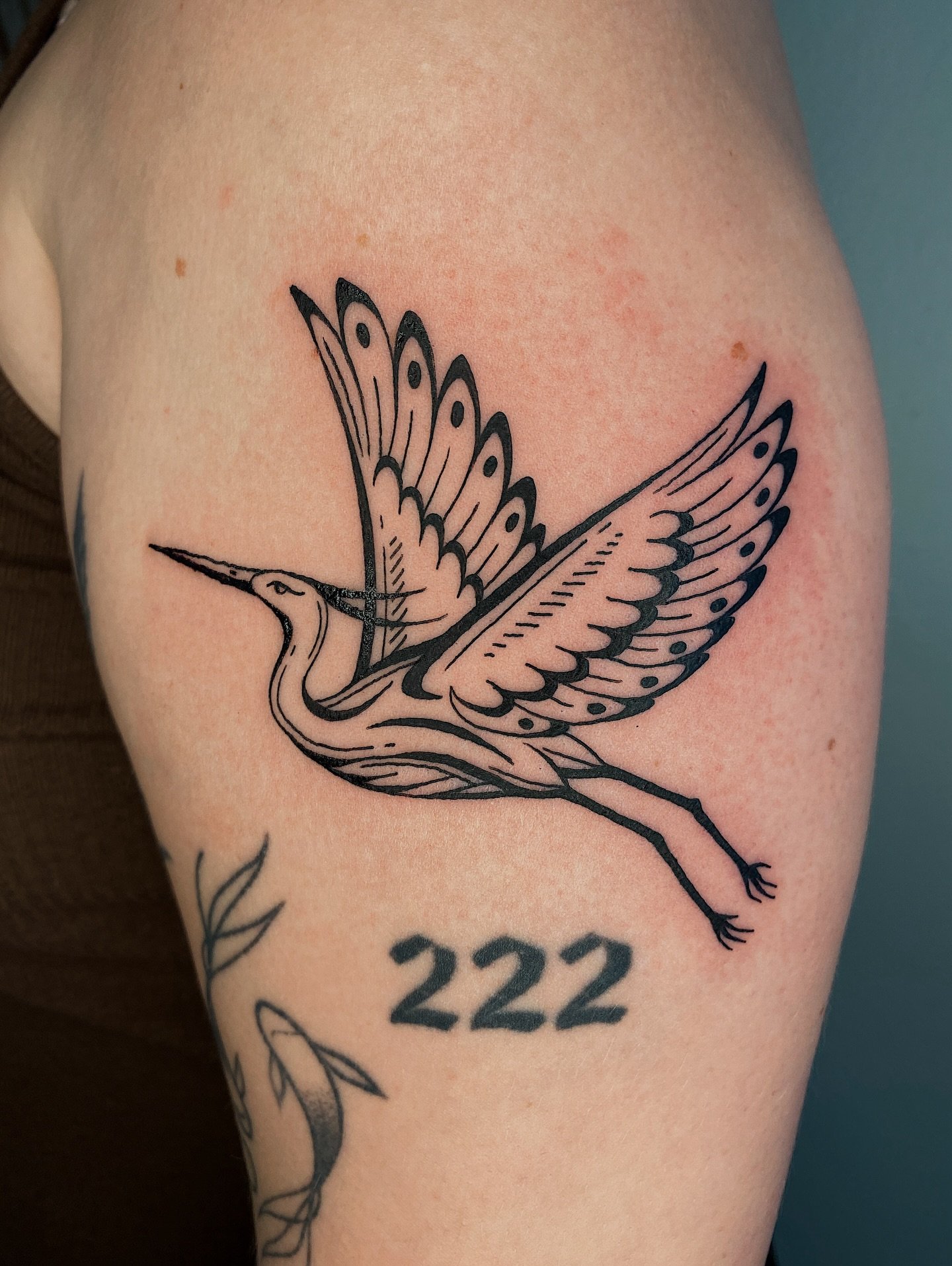 Heron for Alyah! 🕊️