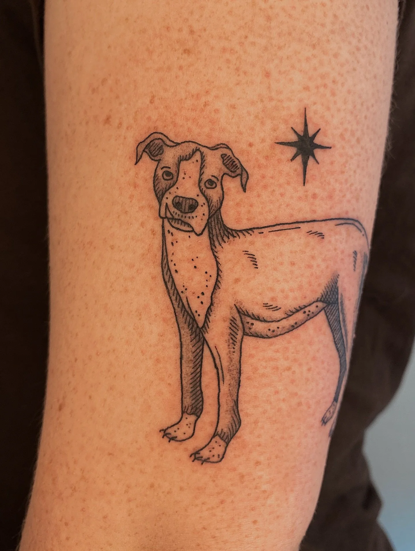 Oliver and his sweet little toof for Savannah! 🦷