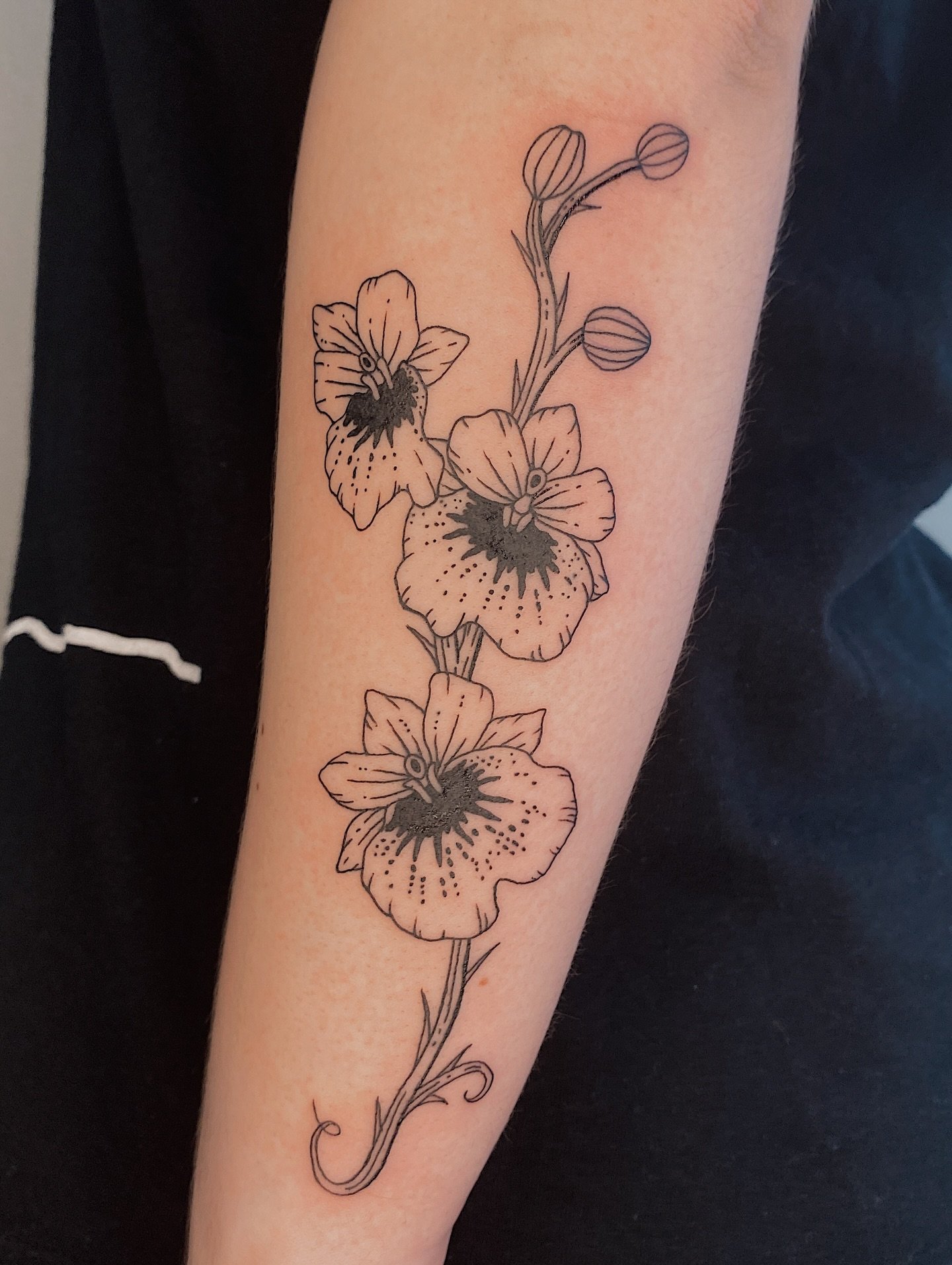 Orchids from my flash for Katie&rsquo;s first tattoo!