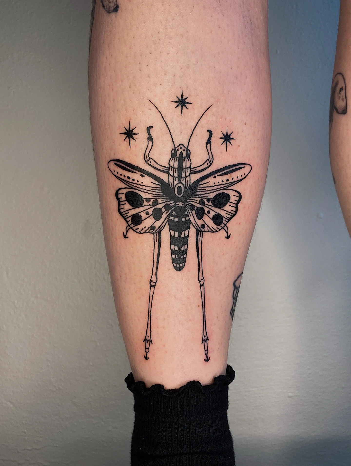 Grasshopper from my flash for Mary 🦗