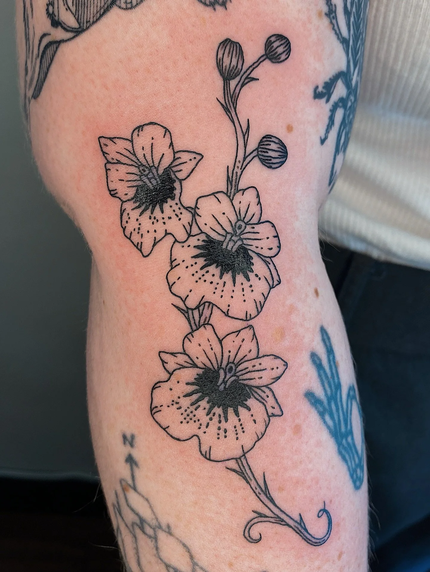 Perfect fit orchids from my flash for Kathleen! 🌸