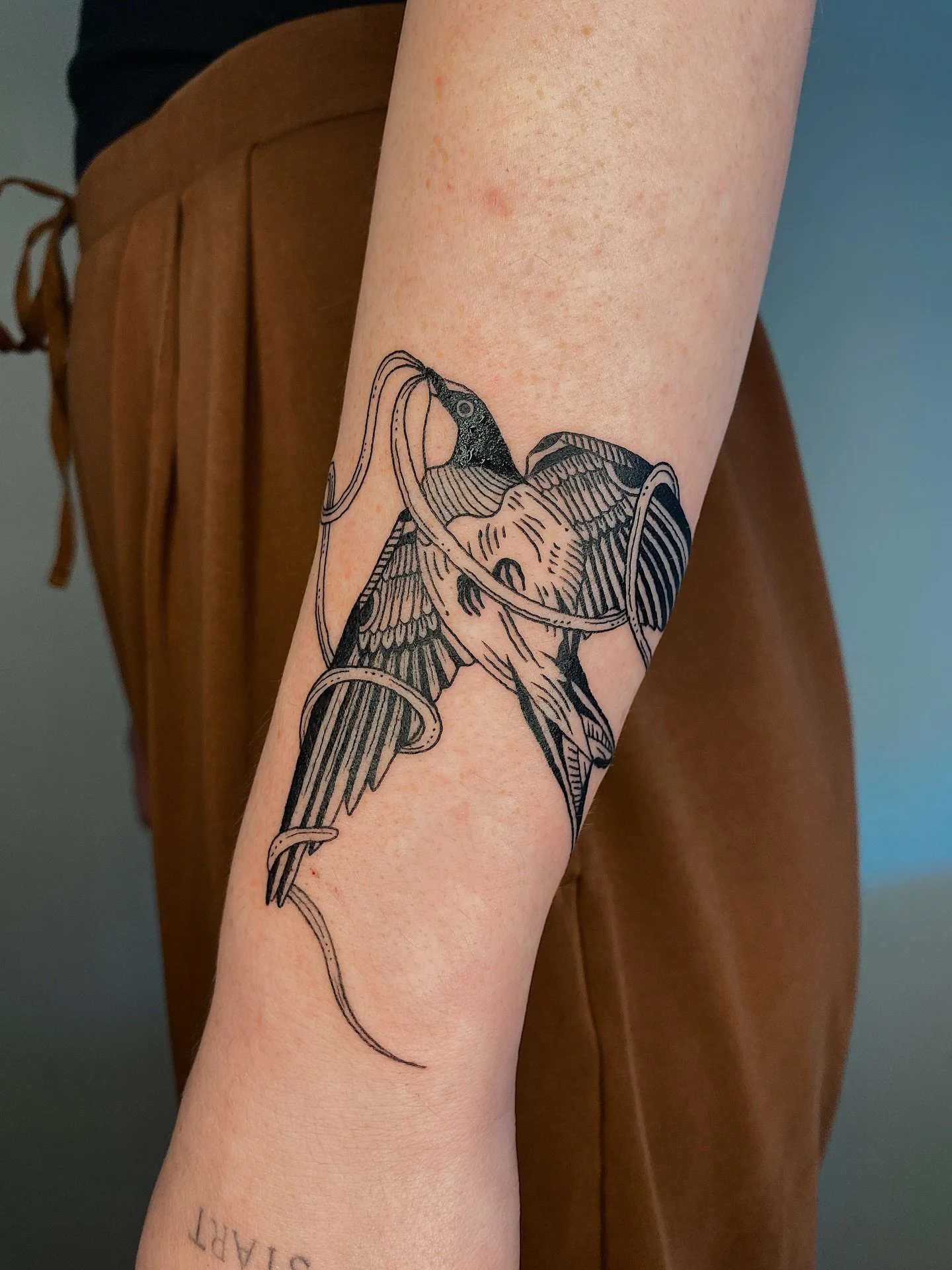 Wrap around wrist swallow from my flash for Lara!