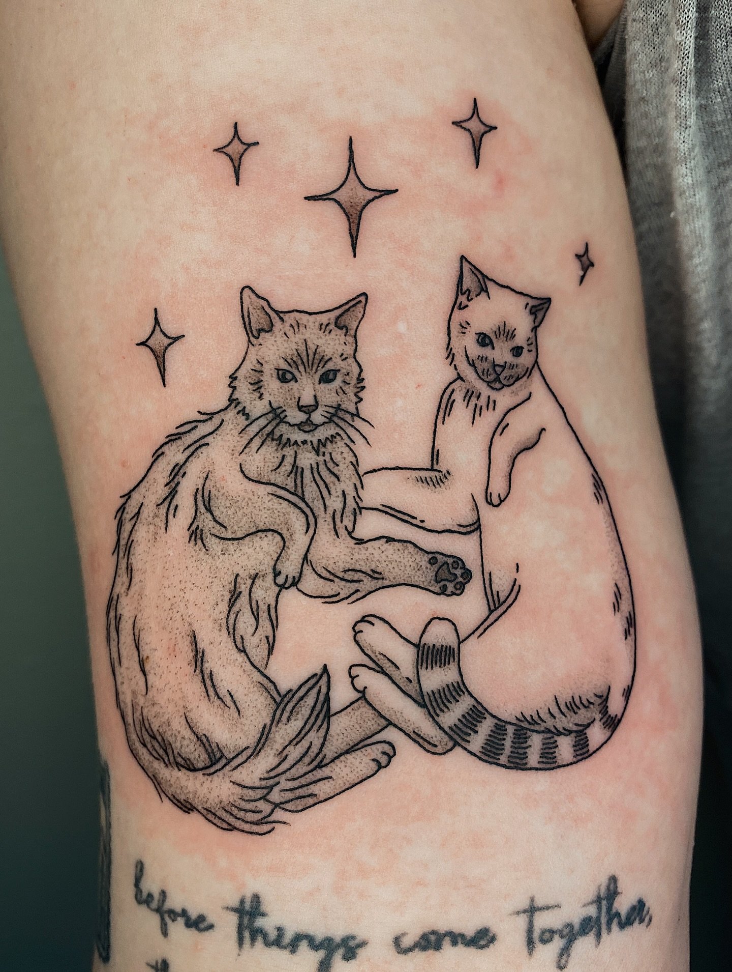 Memorial tattoo for Amber 🐱🐱