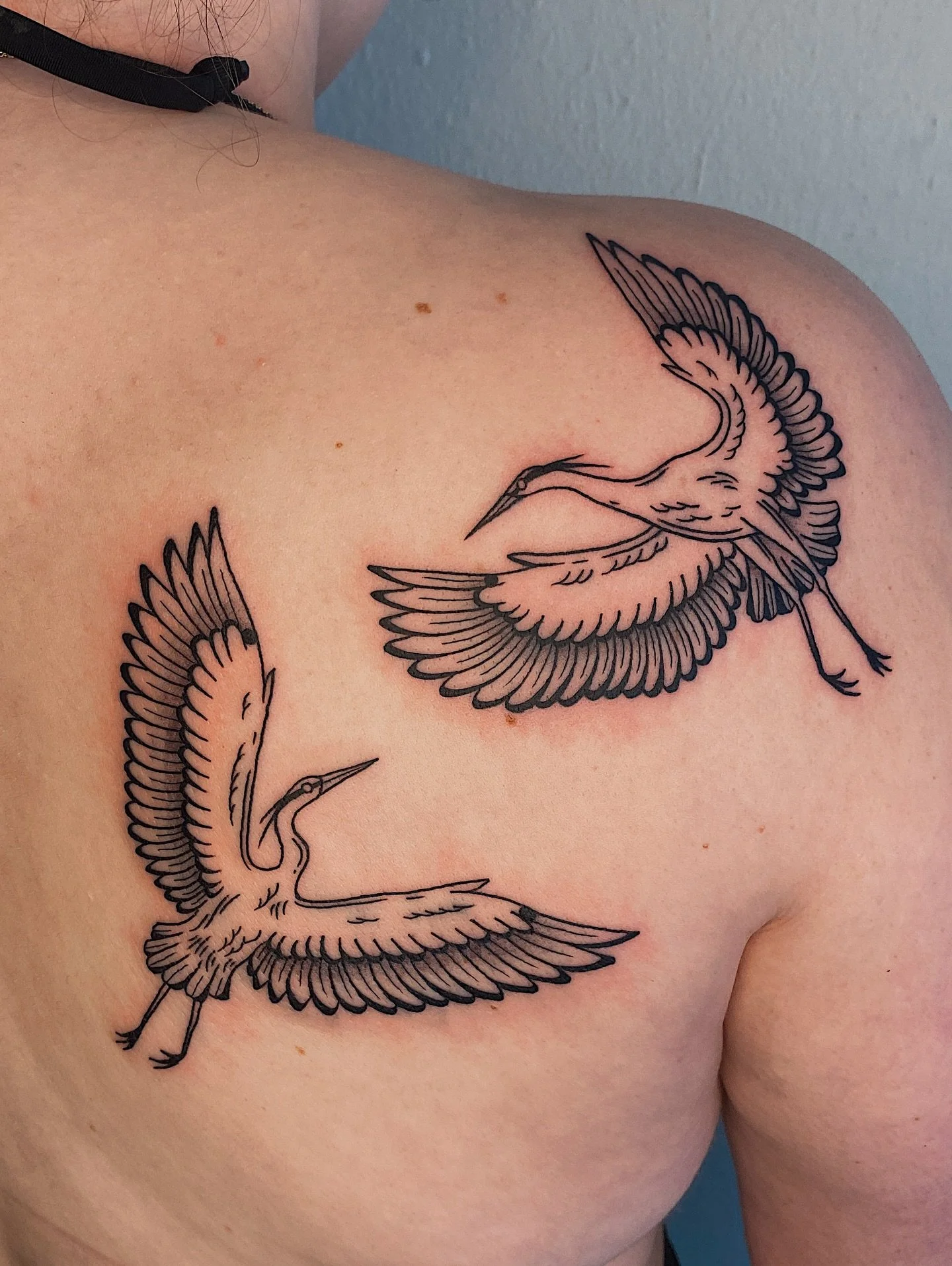 For Emma! I&rsquo;ve been horrible at posting all the tattoos I&rsquo;ve been doing 🫠