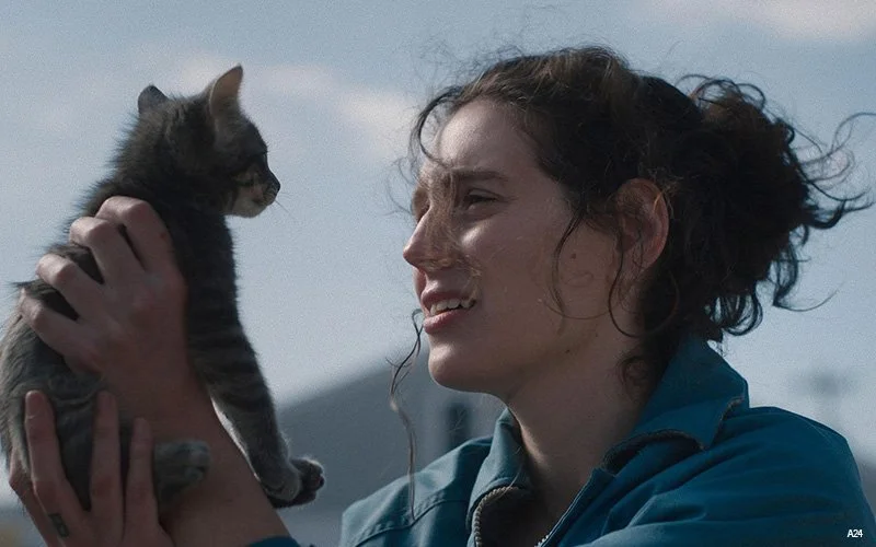 Sorry, Baby Filmszene