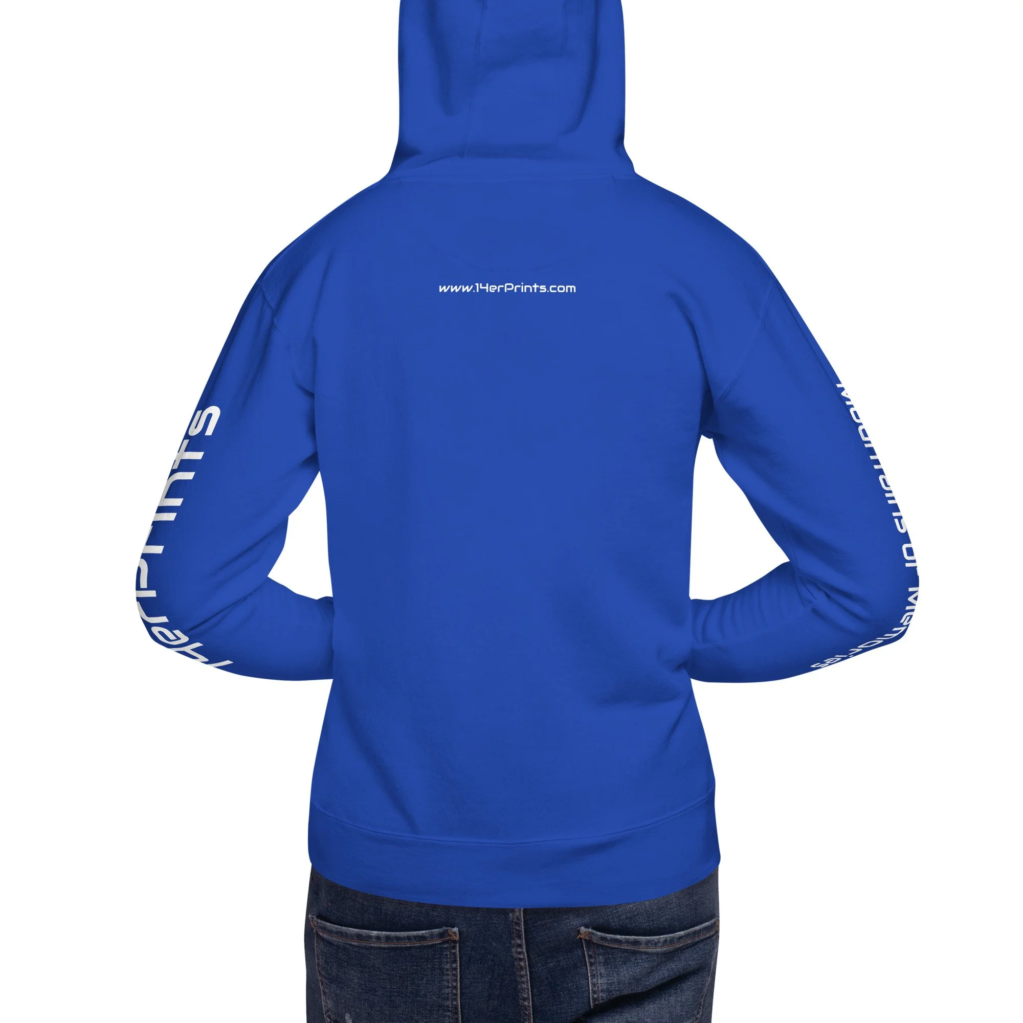 14erprints premium pullover hoodie – team royal back view