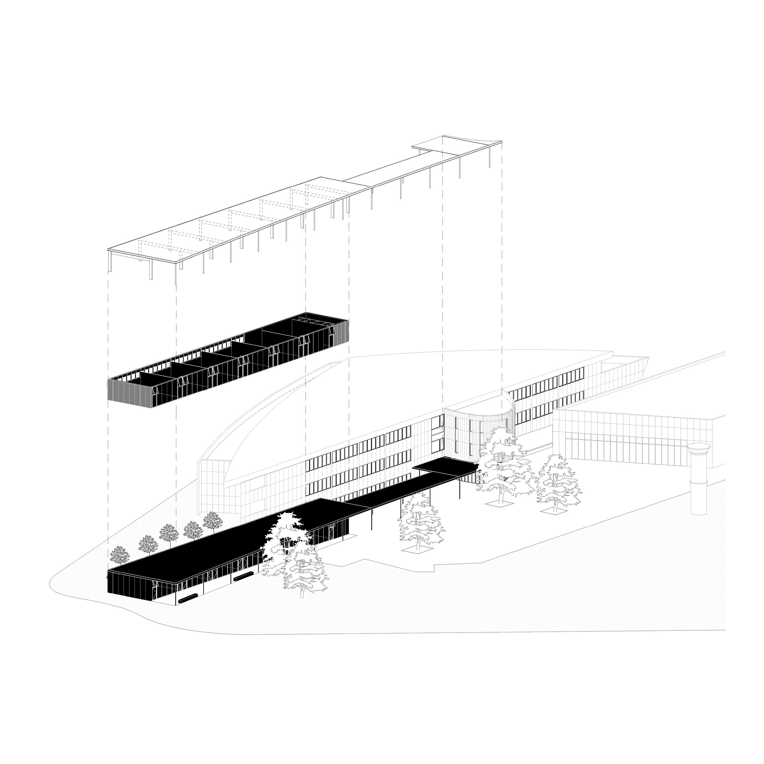 MTB_AXO-2.jpg