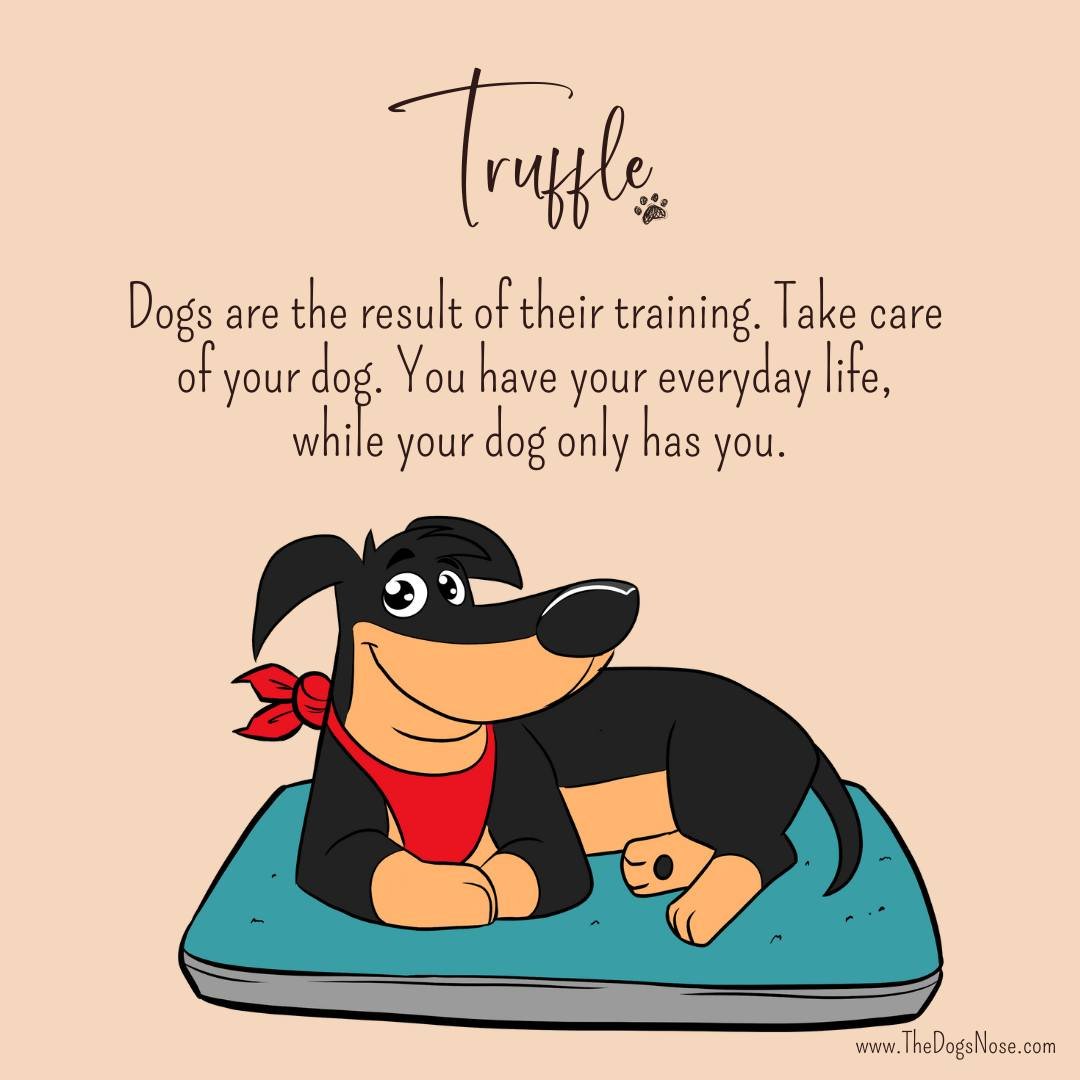 Dogs are the result of their training. Take care of your dog. You have your everyday life, while your dog only has YOU!.