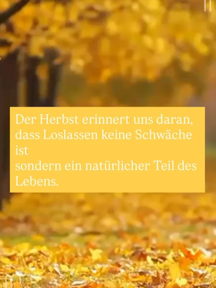 Hello my Love 🫶
Der Herbst zeigt uns, wie sch&ouml;n es ist, loszulassen 
ohne Angst, etwas zu verlieren.
Denn jedes Loslassen &ouml;ffnet Raum f&uuml;r Wachstum, Heilung und F&uuml;lle.

Selbstwirksamkeit hei&szlig;t auch:
zu erkennen, wann etwas z