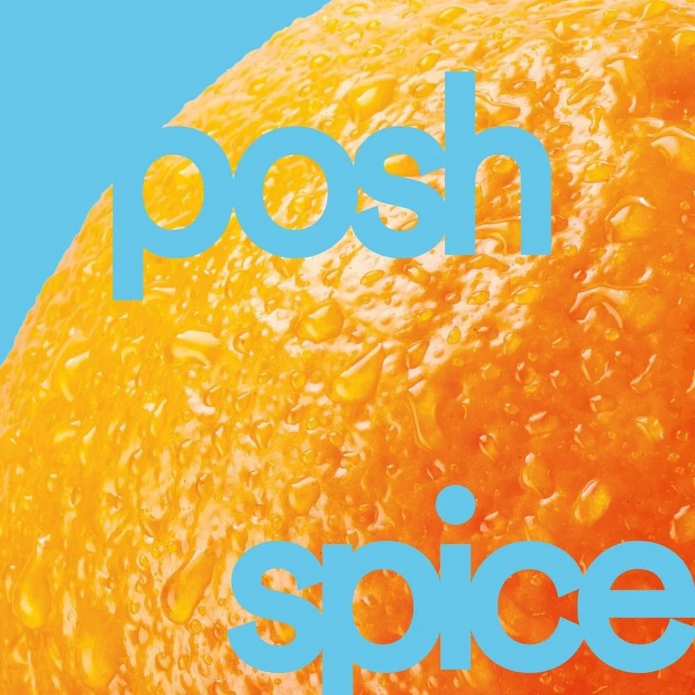 Technicolors Posh Spice.jpeg