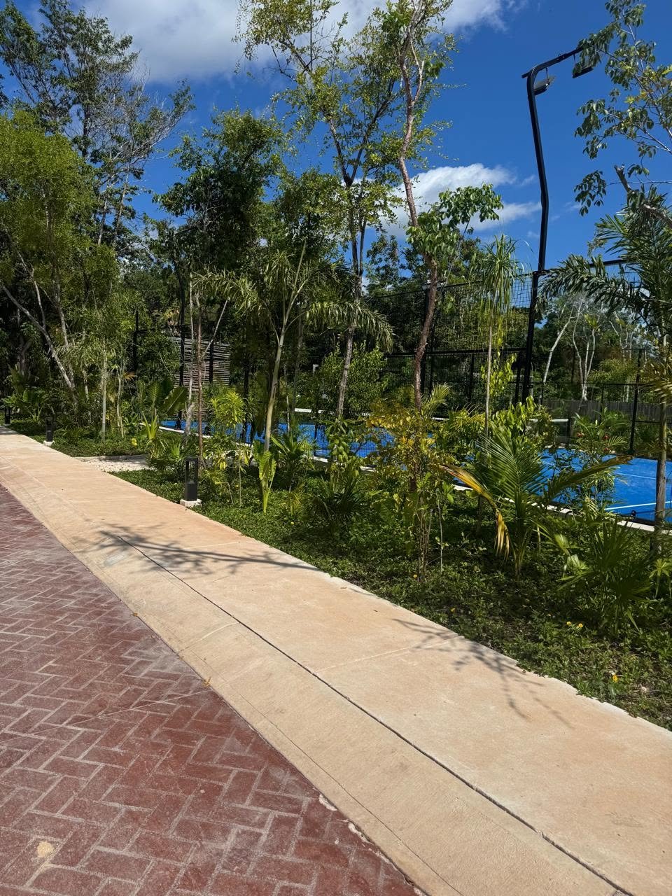 Cancha paddel 02.jpg
