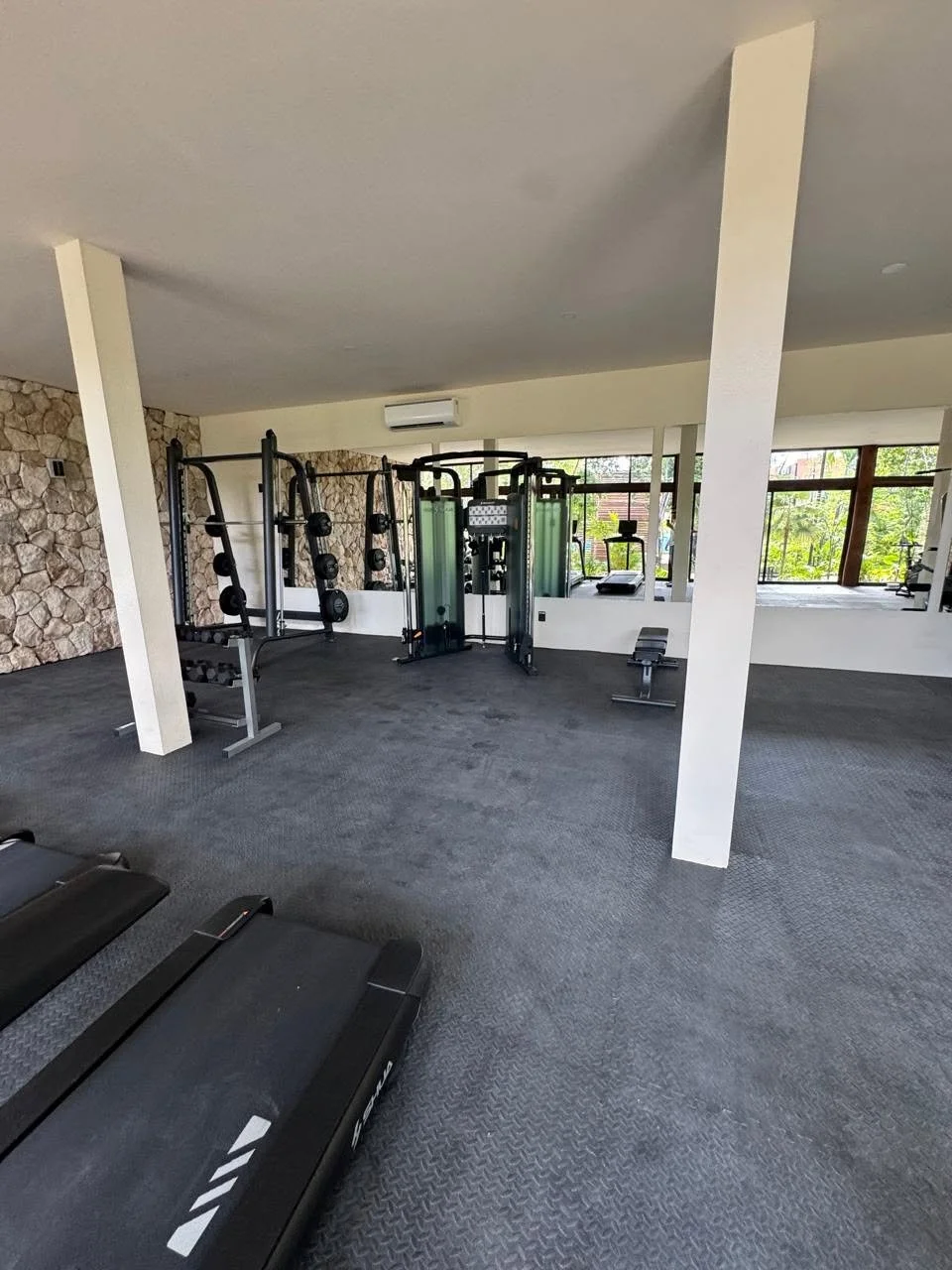 Gym.jpg