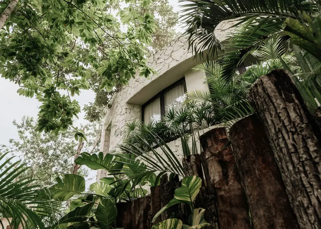 Casa Coco 2.webp