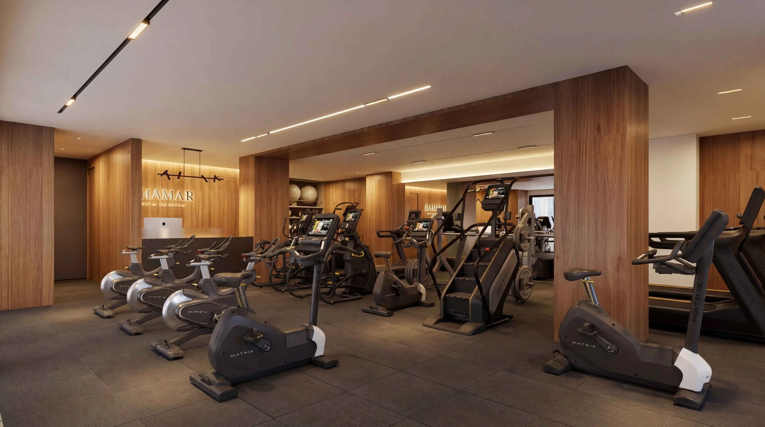 GYM.jpg