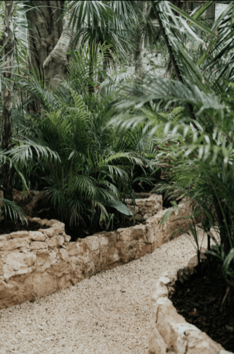 Captura de Pantalla 2026-02-17 a la(s) 12.35.34.png