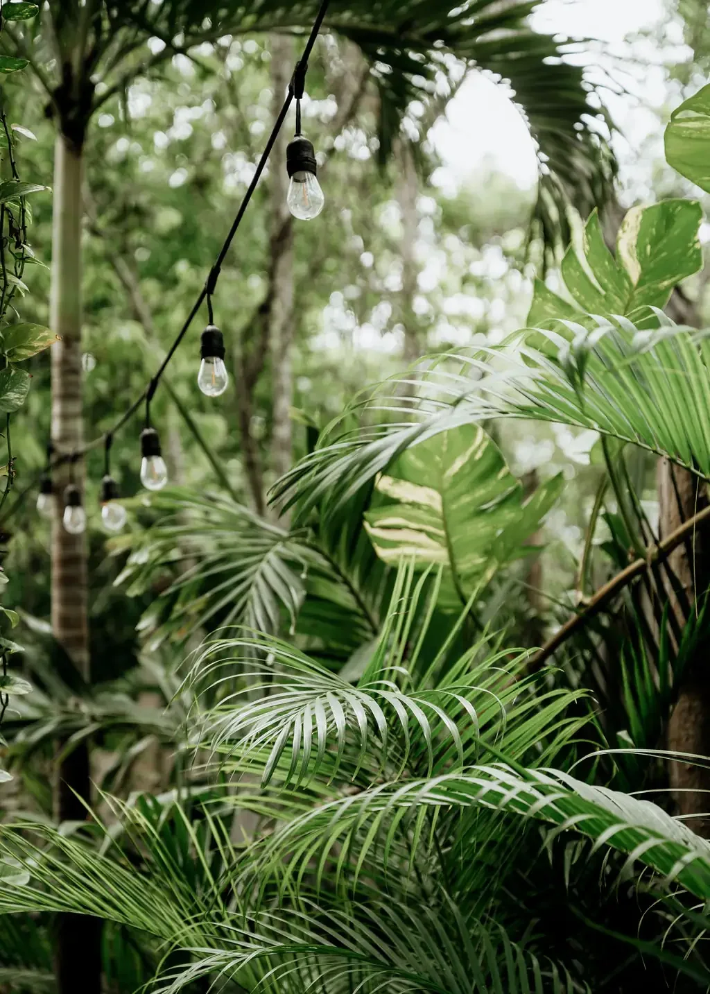 Casa Coco 29.webp