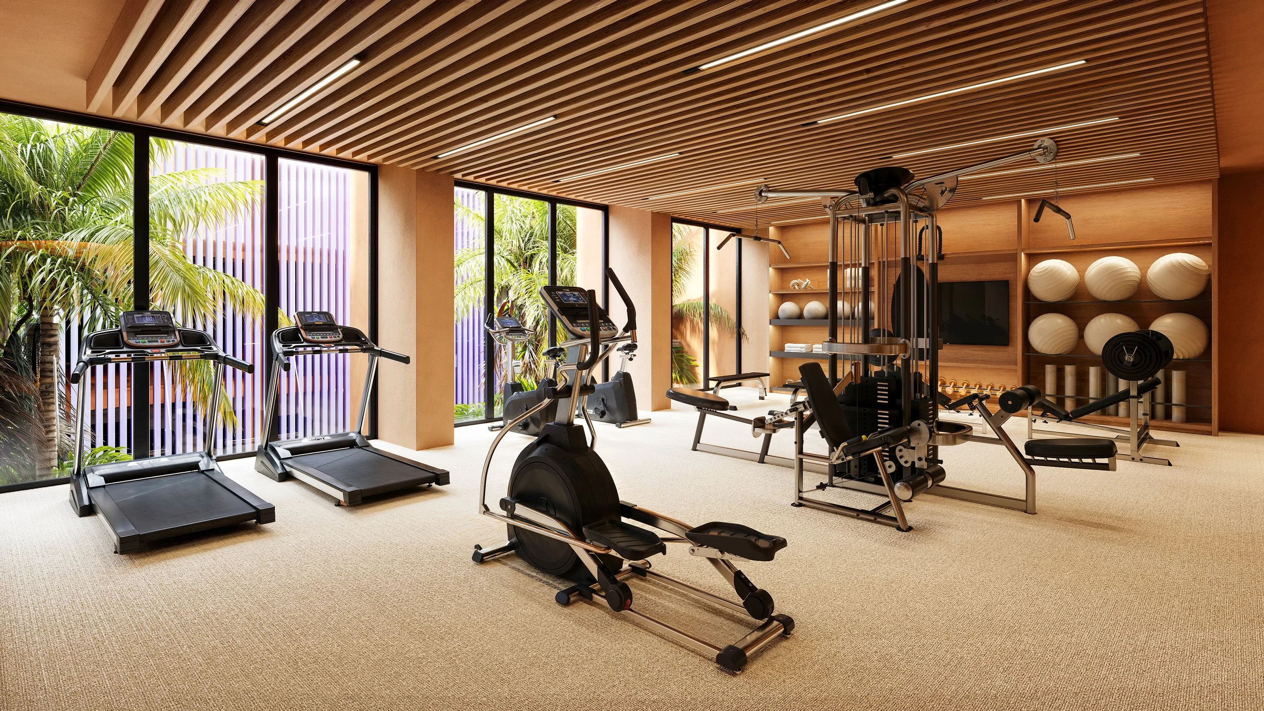 Gym.jpg
