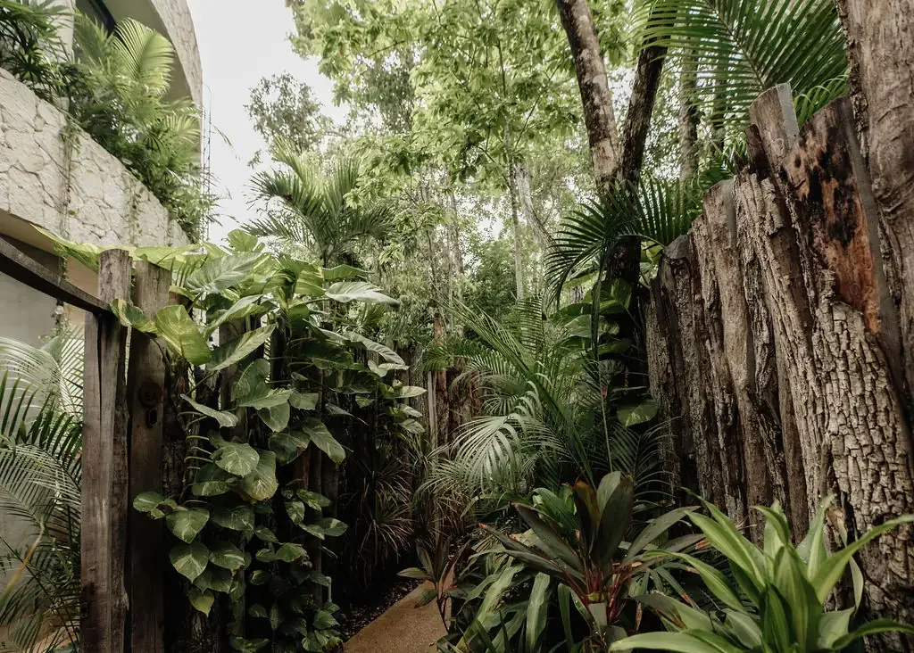 Casa Coco 26.webp