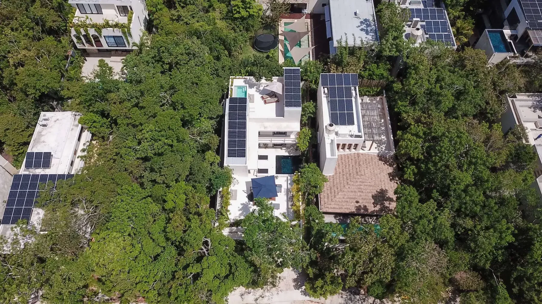 Casa Paloma 01.webp