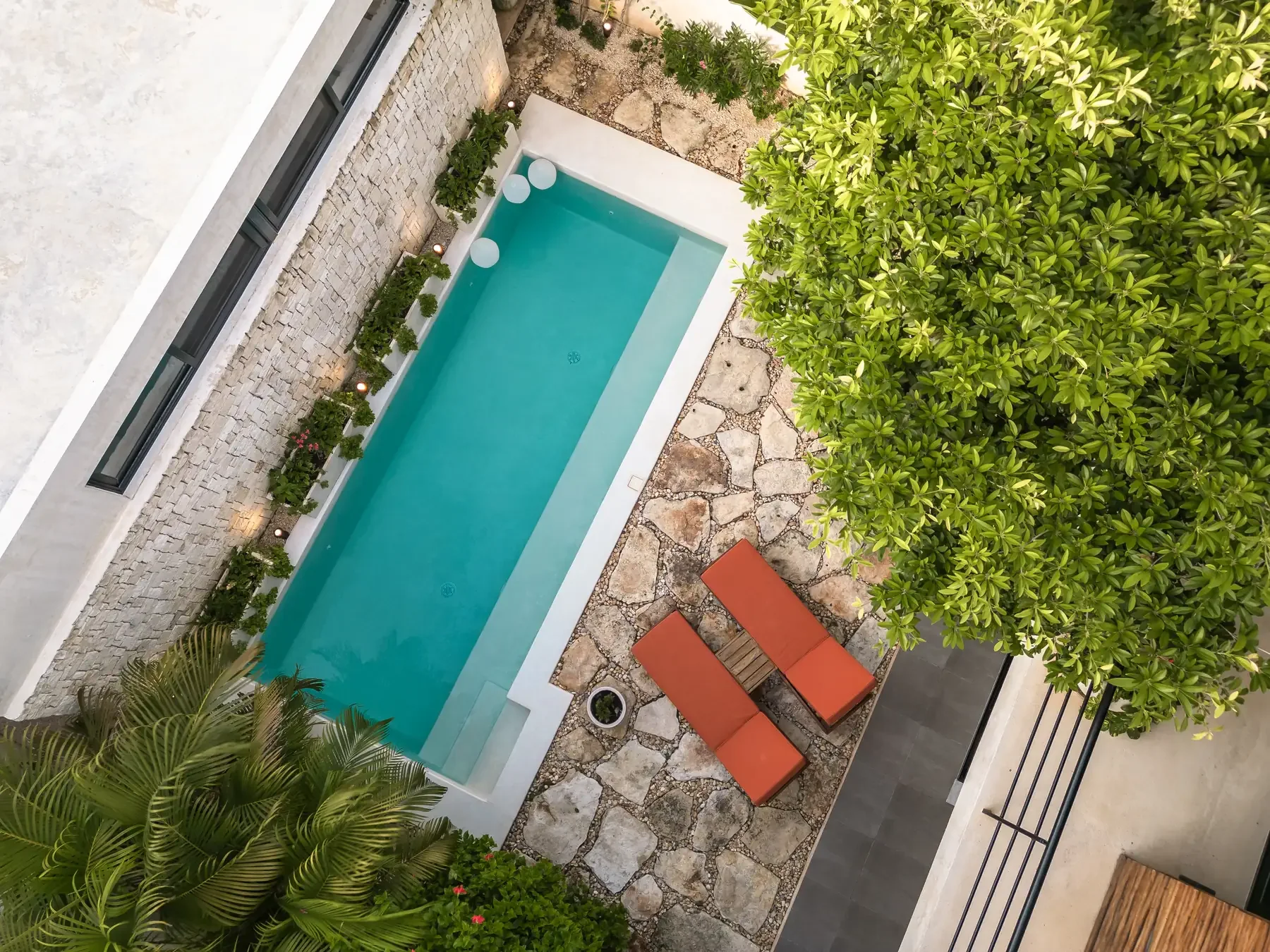Casa Jaguar 04.webp