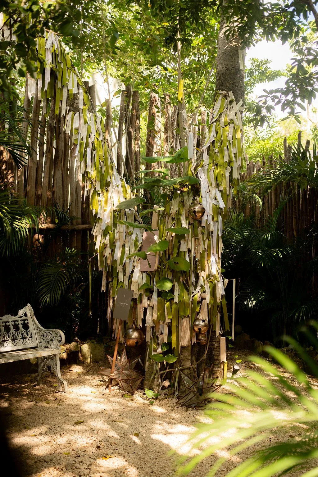 Arbol de sueños.jpg