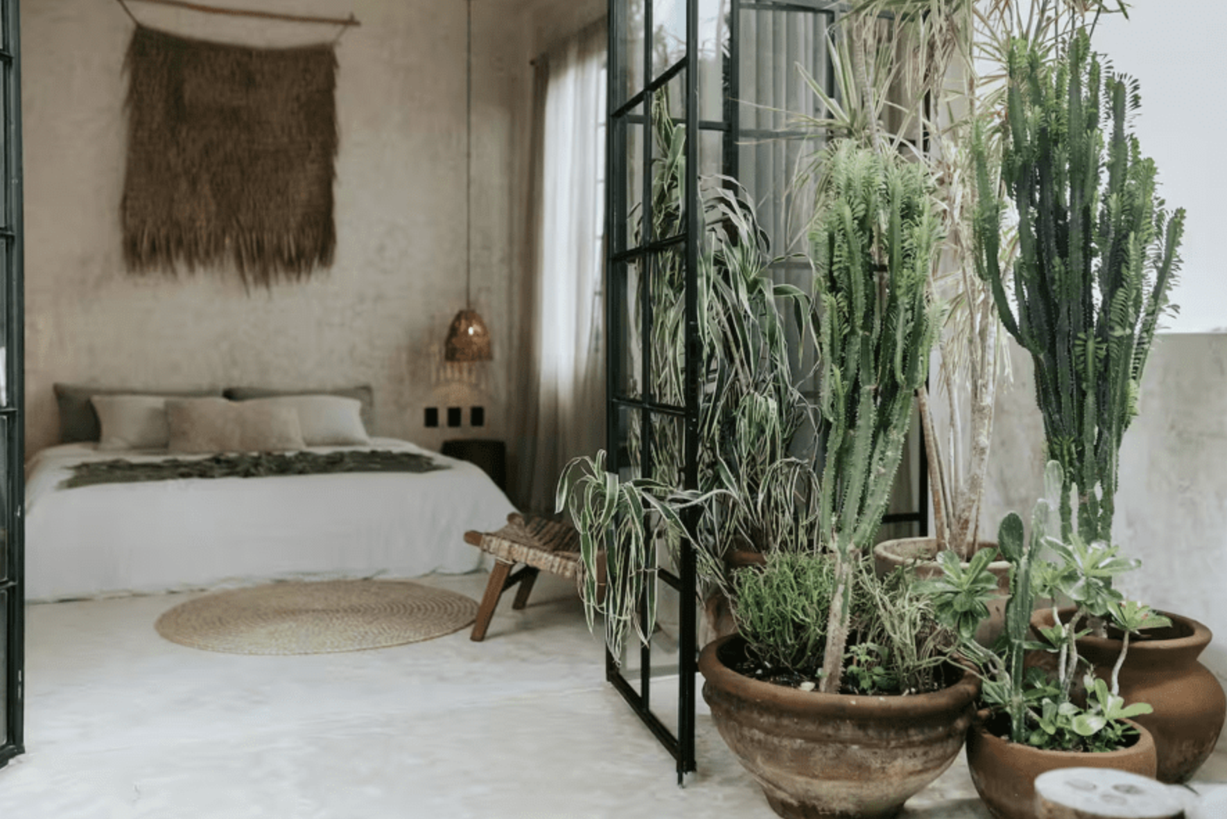 Captura de Pantalla 2026-02-17 a la(s) 12.36.23.png