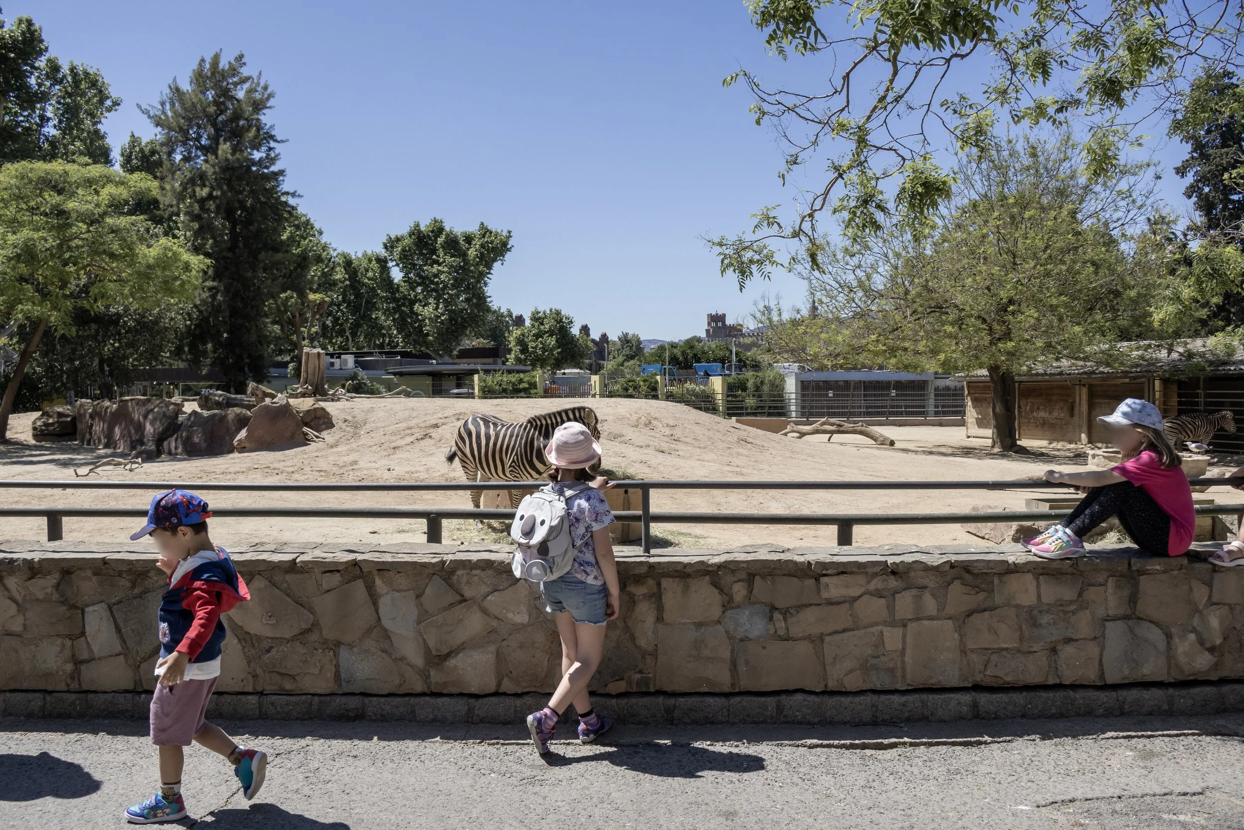 _MG_4960-1 copy 2.jpg