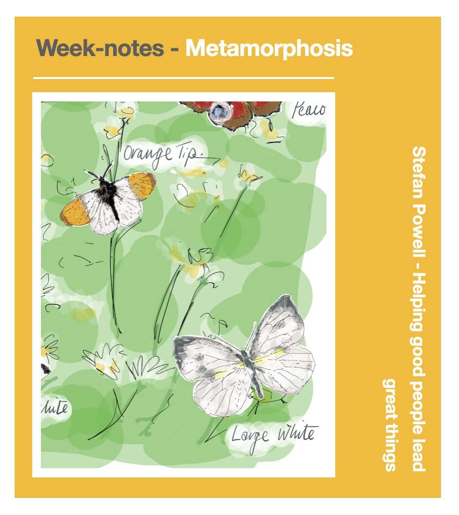 Metamorphosis - Stefan’s Week-notes 12/07/202