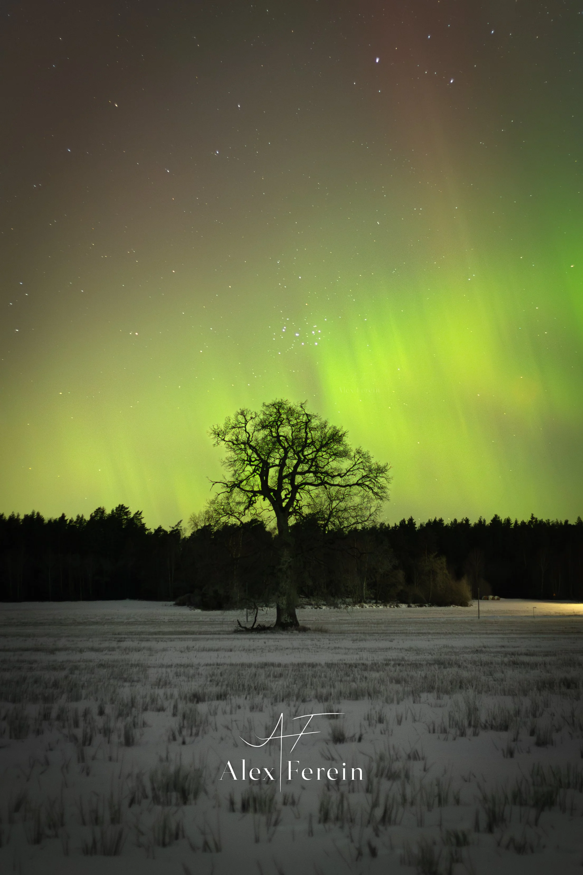Adelsö Aurora-M45 Oak4 2026-02-14.jpg