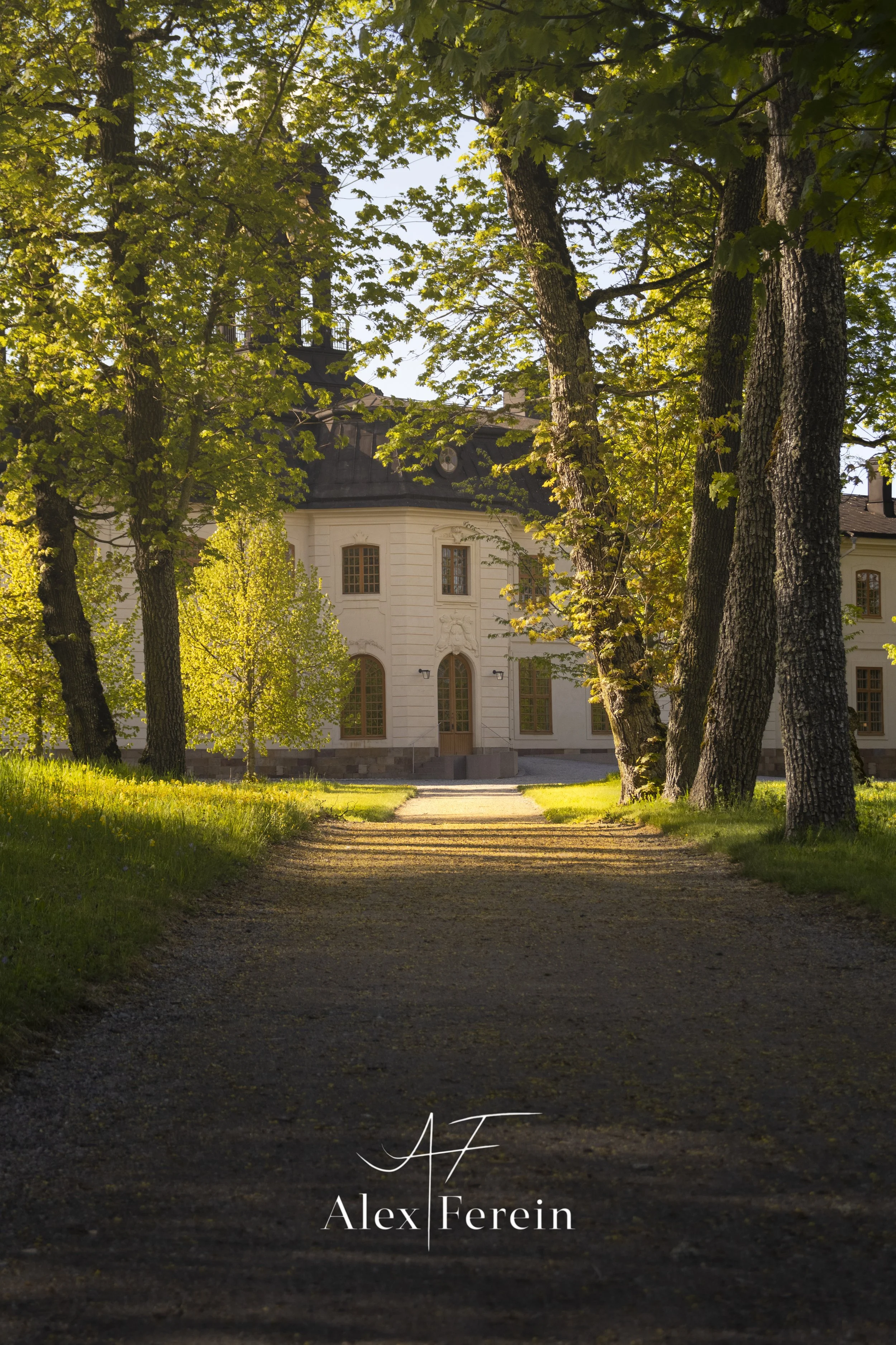 Svartjö Spring Walk2.jpg