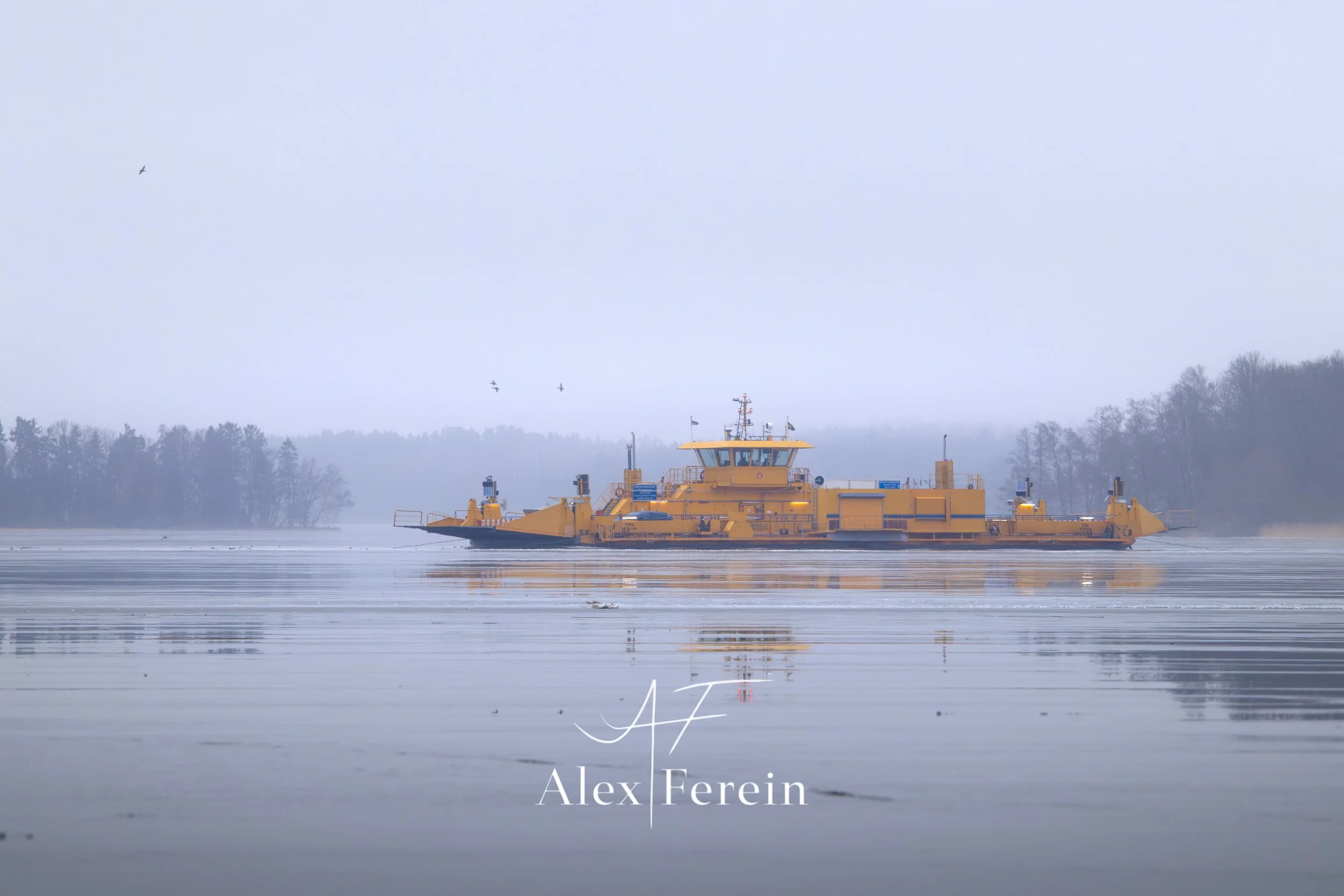 Misty Munsö-7.jpg