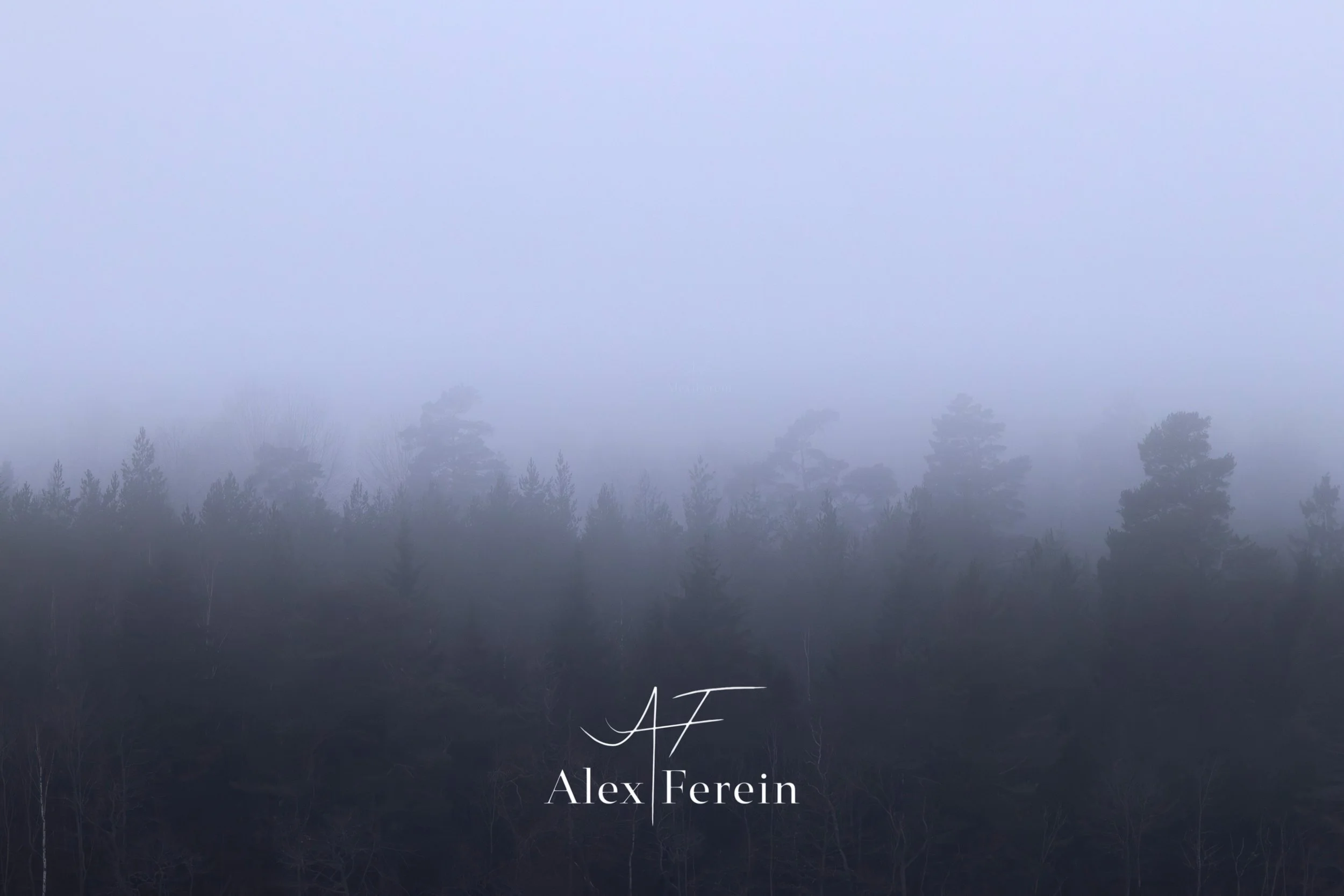 Misty Munsö-6.jpg