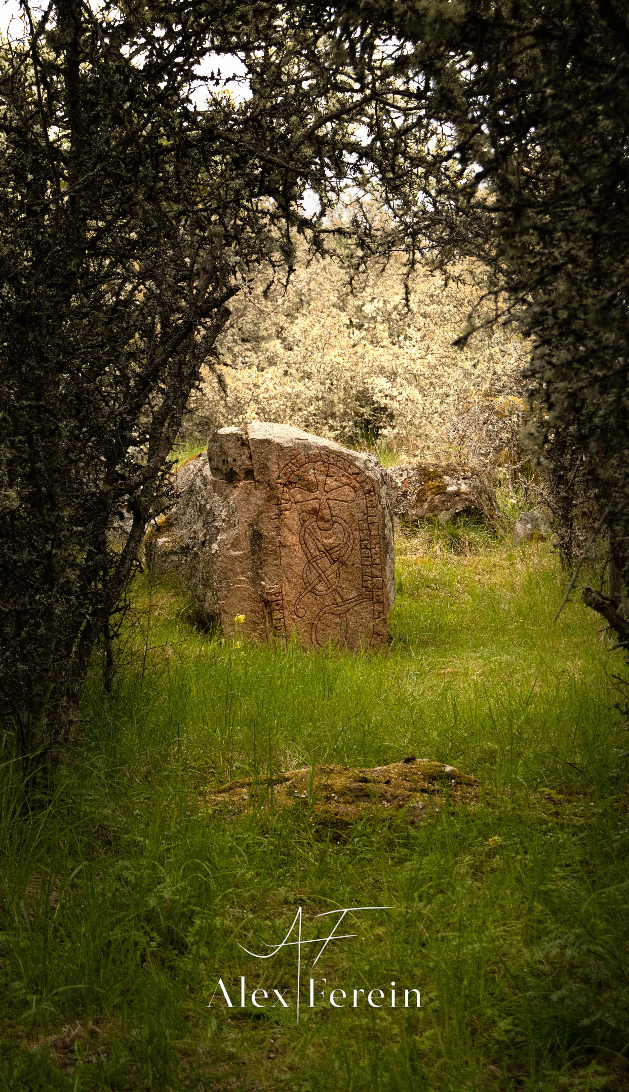 Rune Törnby U45.jpg