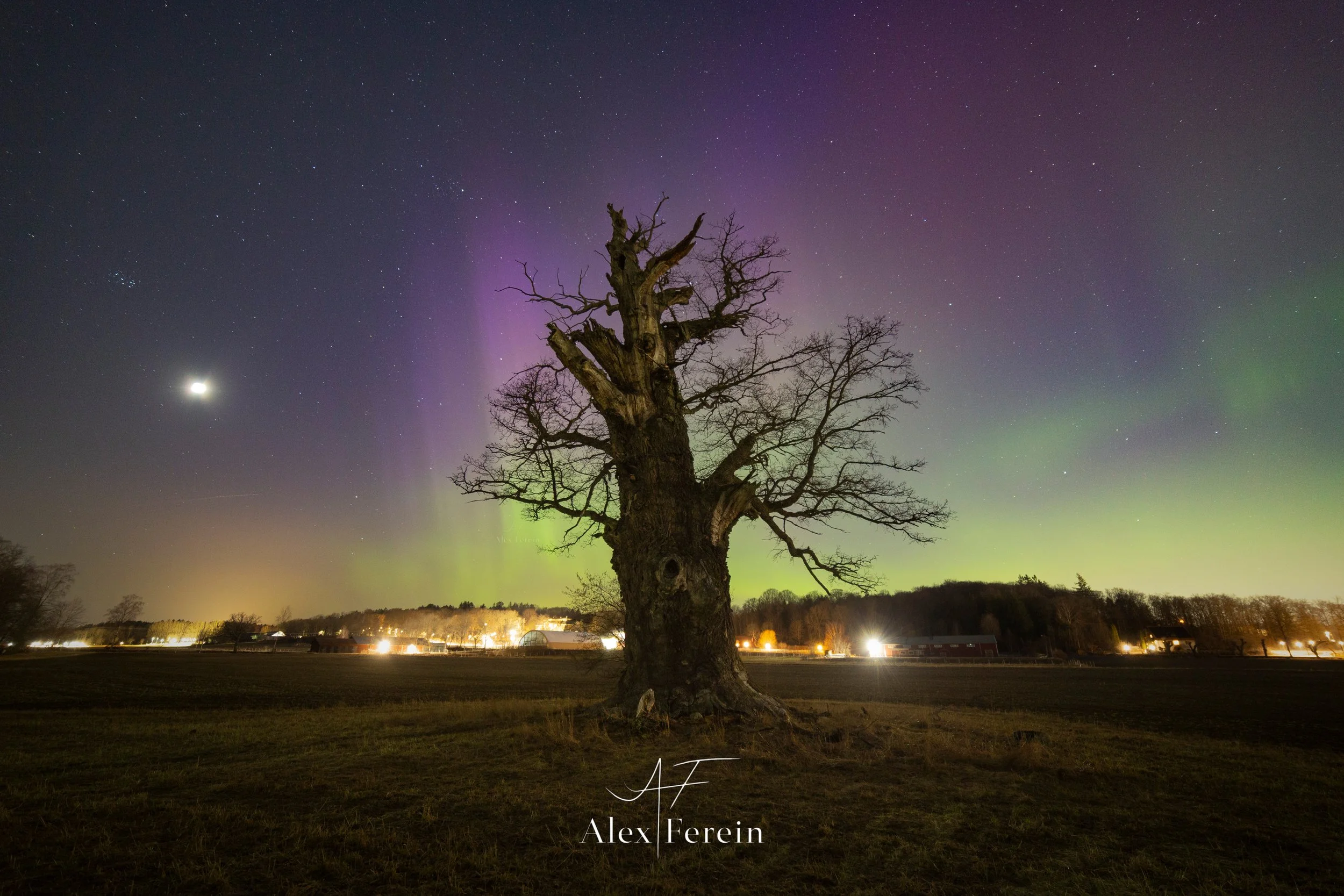 Ekebyhovs Eken Aurora 2026-03-22.jpg