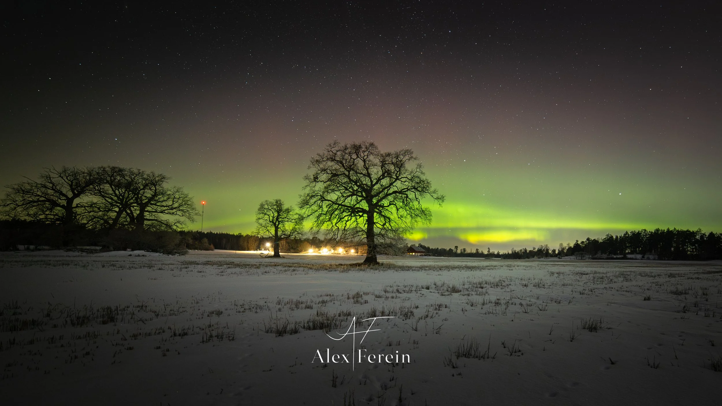 Adelsö Aurora Oak1 2026-02-14.jpg