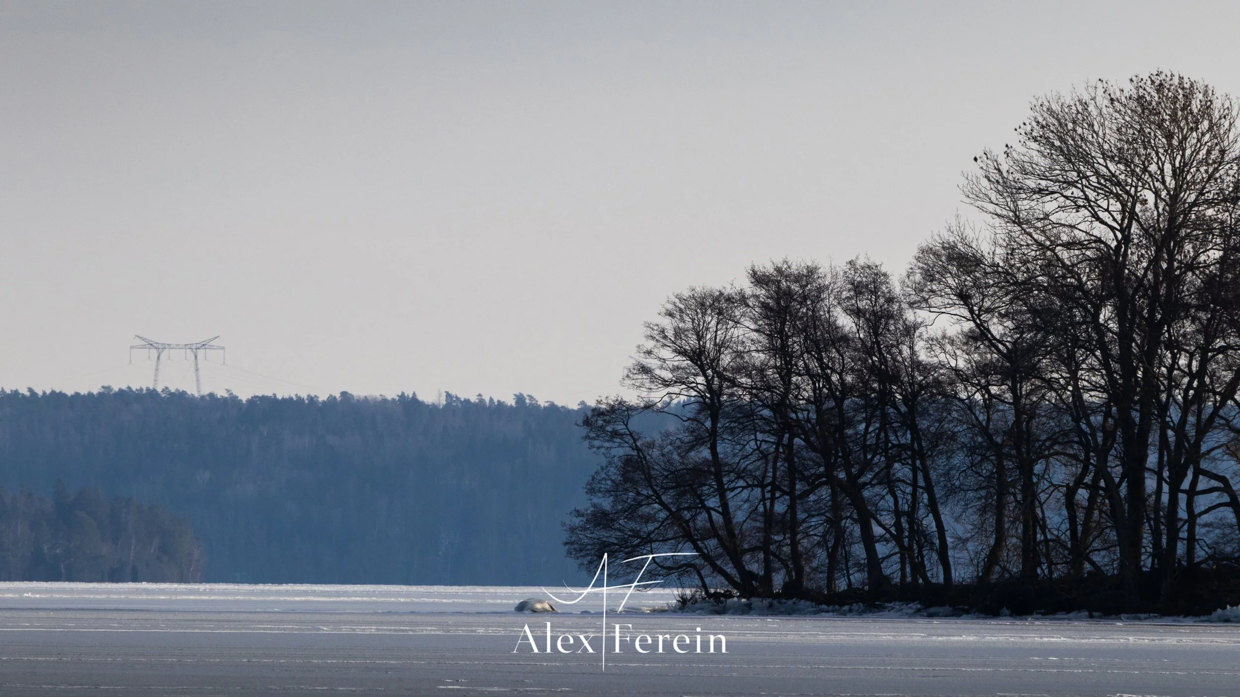 Adelsö Brygga-3.jpg