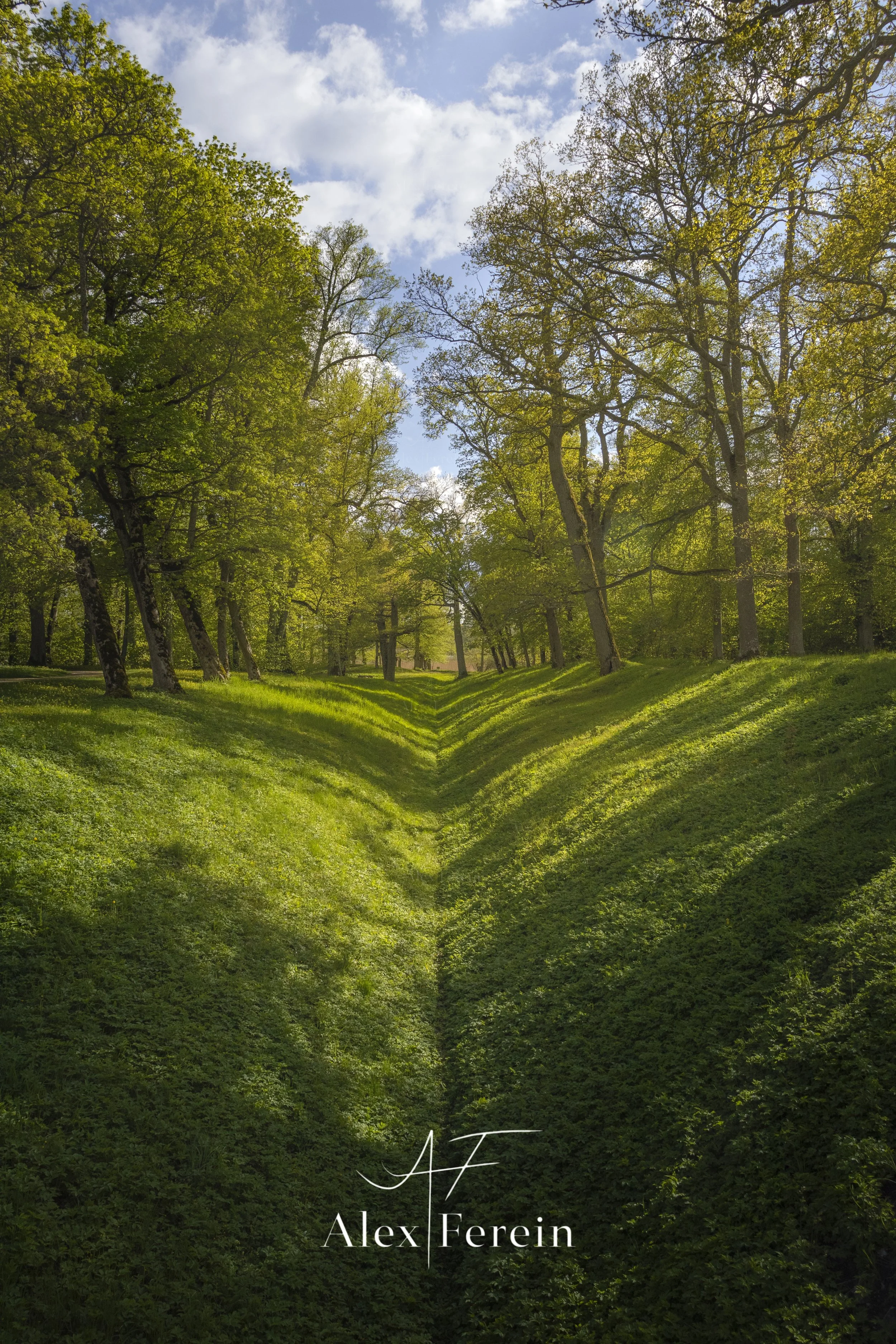 Svartjö Spring Walk.jpg