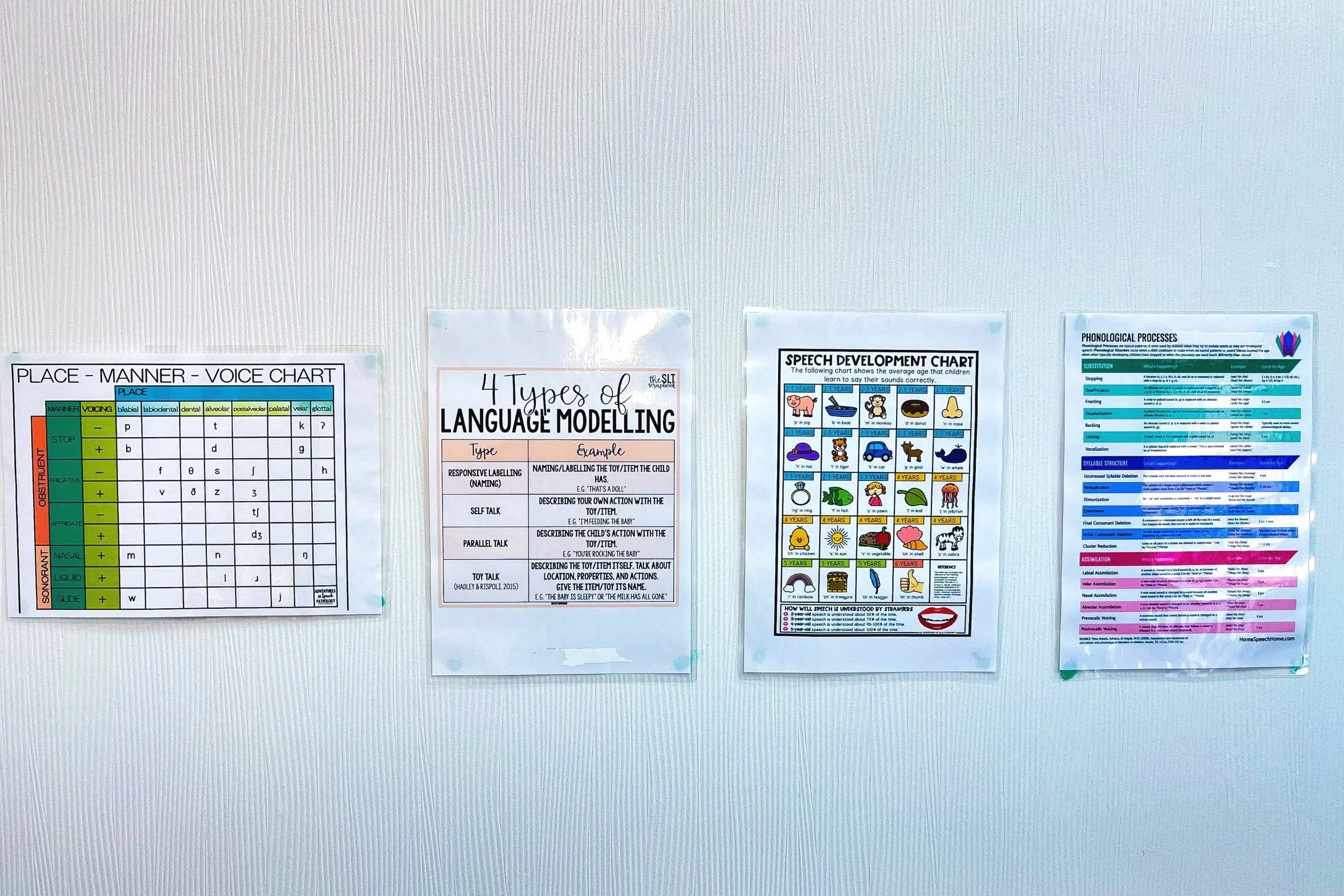 Four educational posters on , speech development, and phonological processes.
