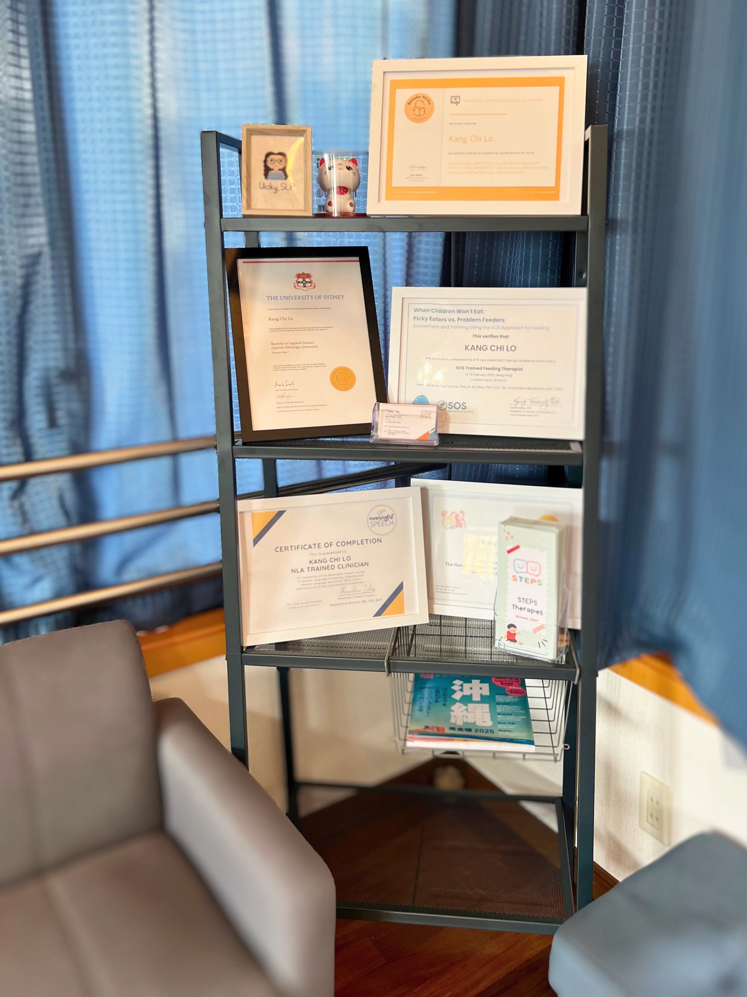 Speech Therapy additional certifications and trainings 