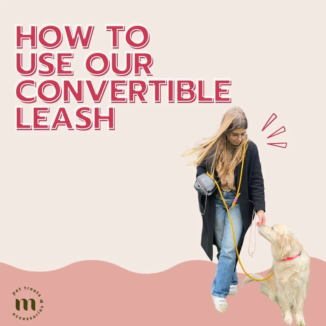 We often get asked how to use our convertible leash, here are the 4 main ways to wear it! And believe me, once you tested it, you never regret it! 

&mdash;&mdash;&mdash;&mdash; 
On nous demande souvent comment s&rsquo;utilise notre laisse convertibl
