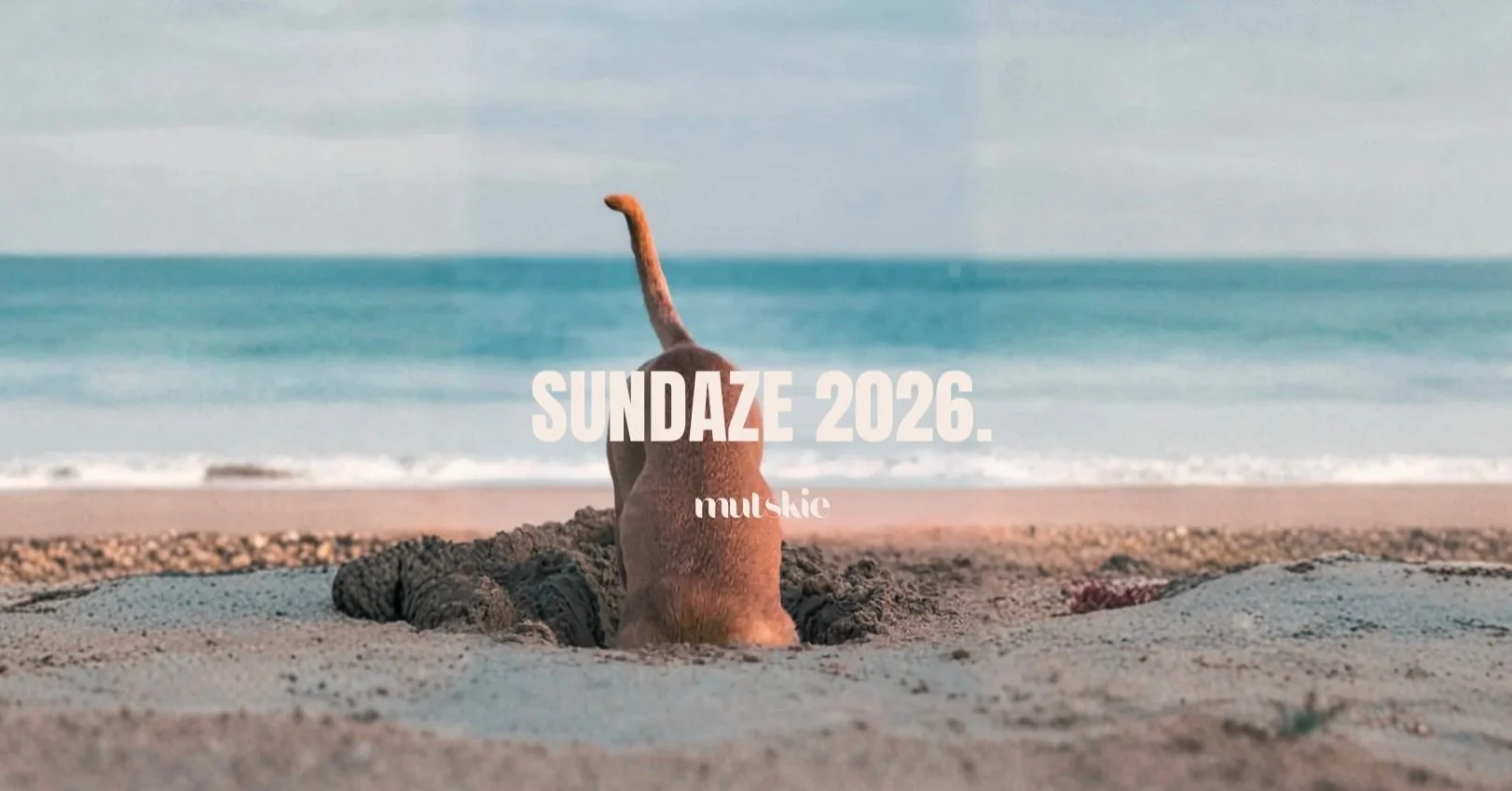 SUNDAZE 2026 ☀️

long days. slow mornings. sunny walks.

Now online.