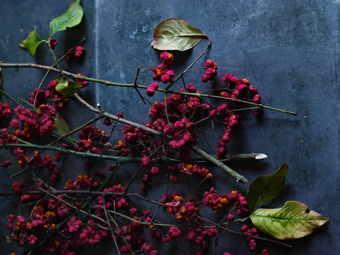 🍂 Falling Leaves & Festive Feels ❄️
 
As the leaves turn golden and the air grows crisp, there’s a certain magic in the changing of the seasons. The cosy scents of cinnamon, pumpkin and spice begin to fill our kitchens once again, and we f