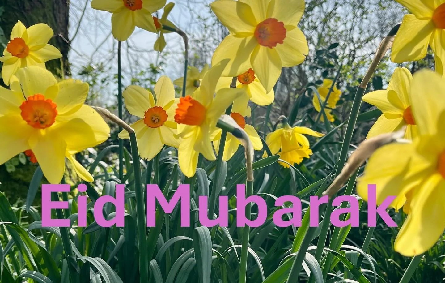 To everyone who works with us at West Wales Islamic Cultural Association and the Mosque, and to all Muslims in Wales, Eid Mubarak  for Eid al-Fitr. What a beautiful day! 

I bawb sy&rsquo;n gweithio gyda ni yn WWICA a&rsquo;r Mosg,ac i bob Mwslim yng