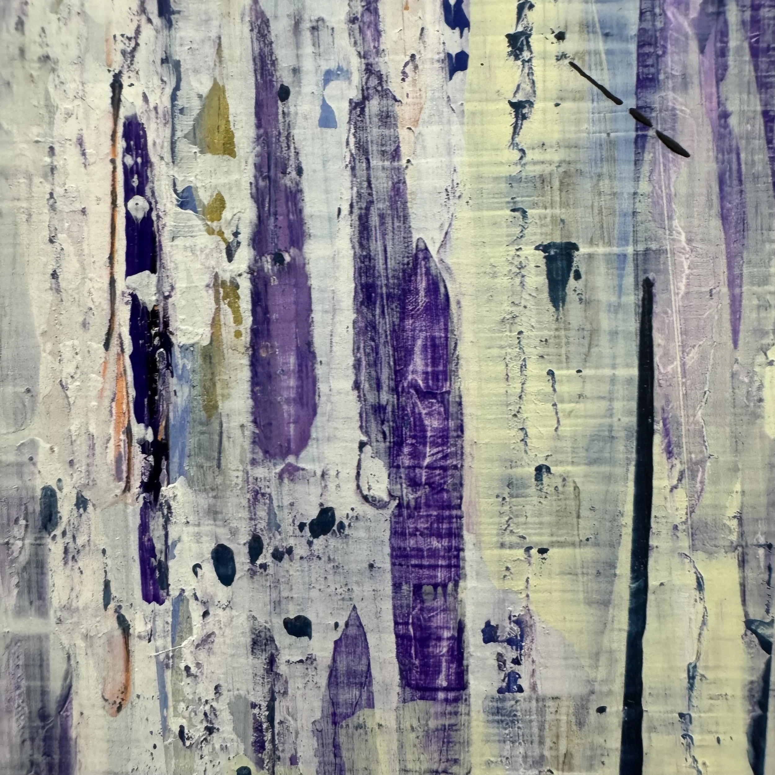 IMG_4487.jpeg