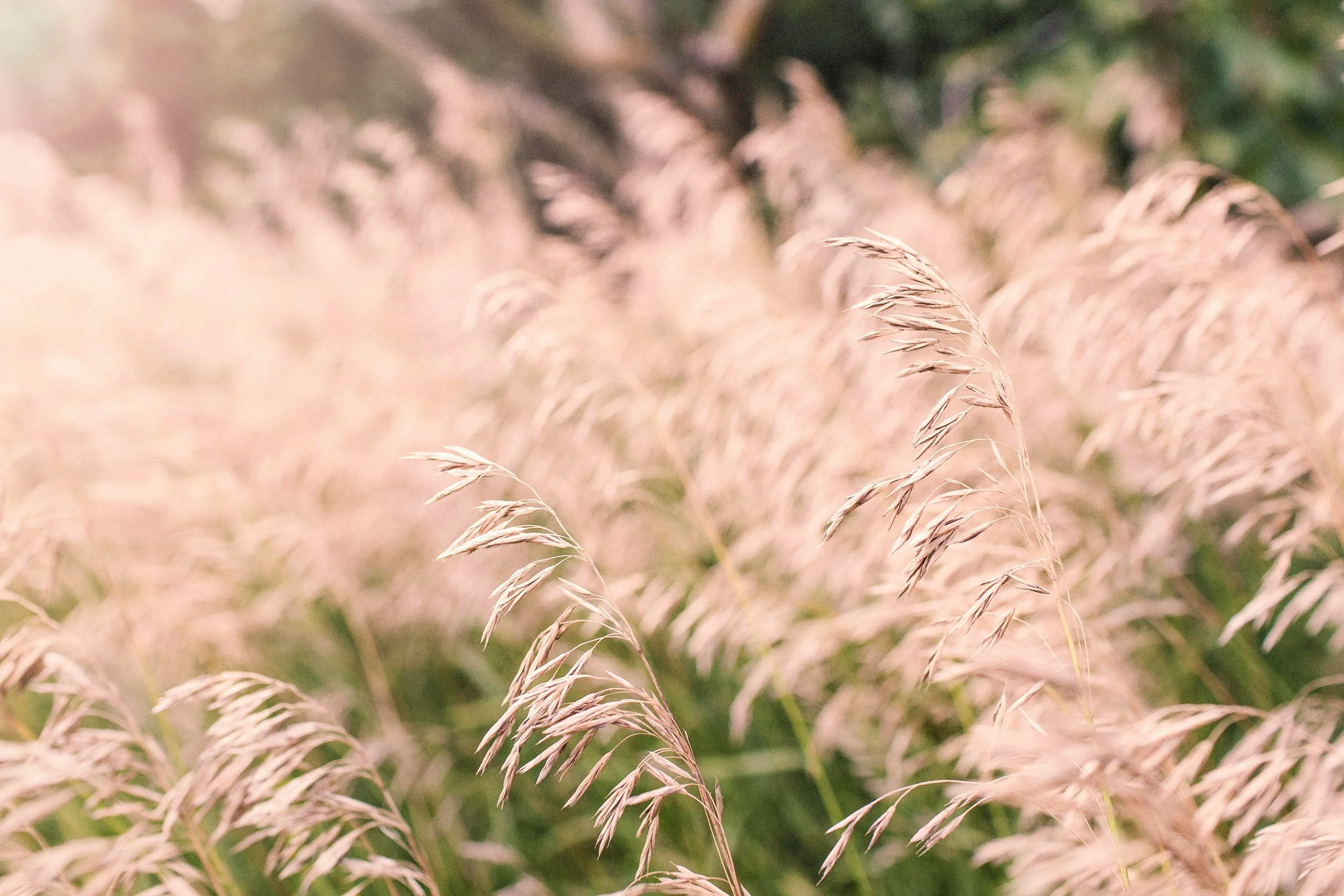 What to Expect from EMDR Treatment