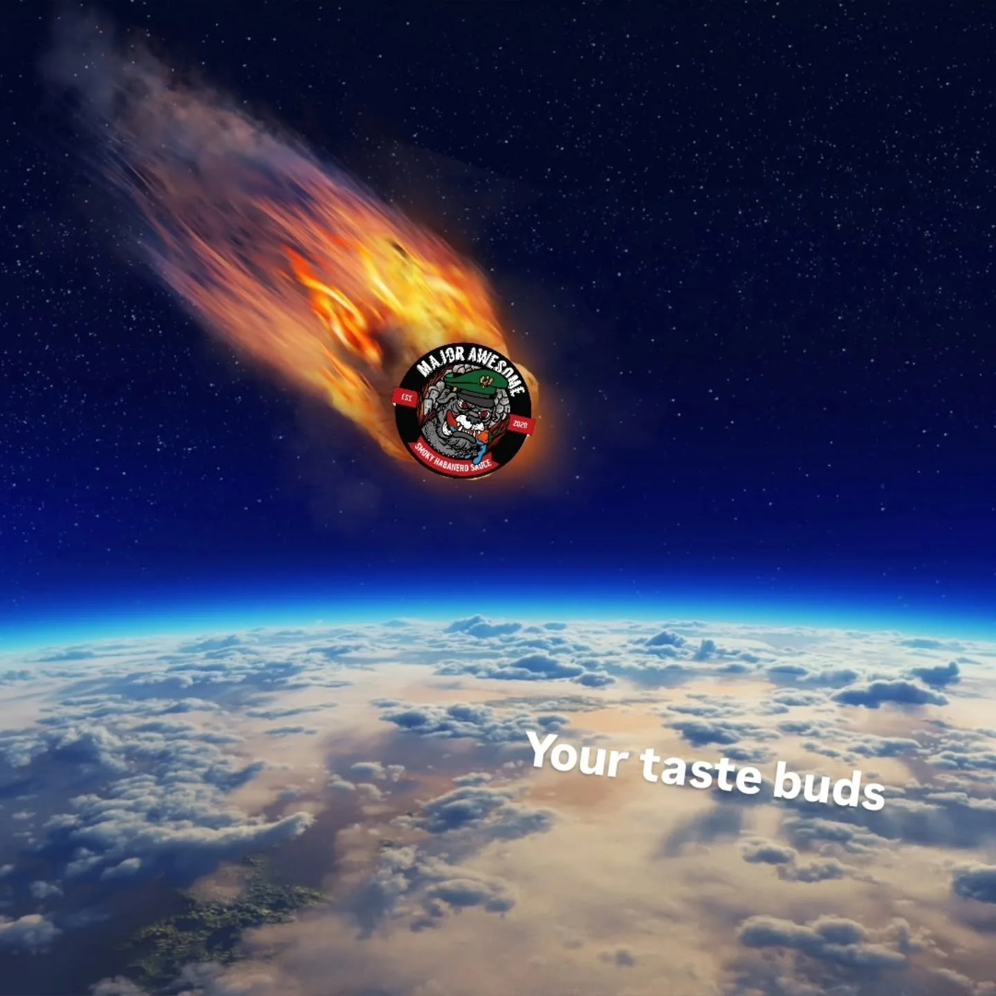 Happy National Meteor Watch Day! To all recent orders - be on the lookout for some heat landing on your doorstep soon 🔥🌶💥☄️

#majorawesome #hotsauce #majorawesomehotsauce #nationalmeteorwatchday #fakeholidays