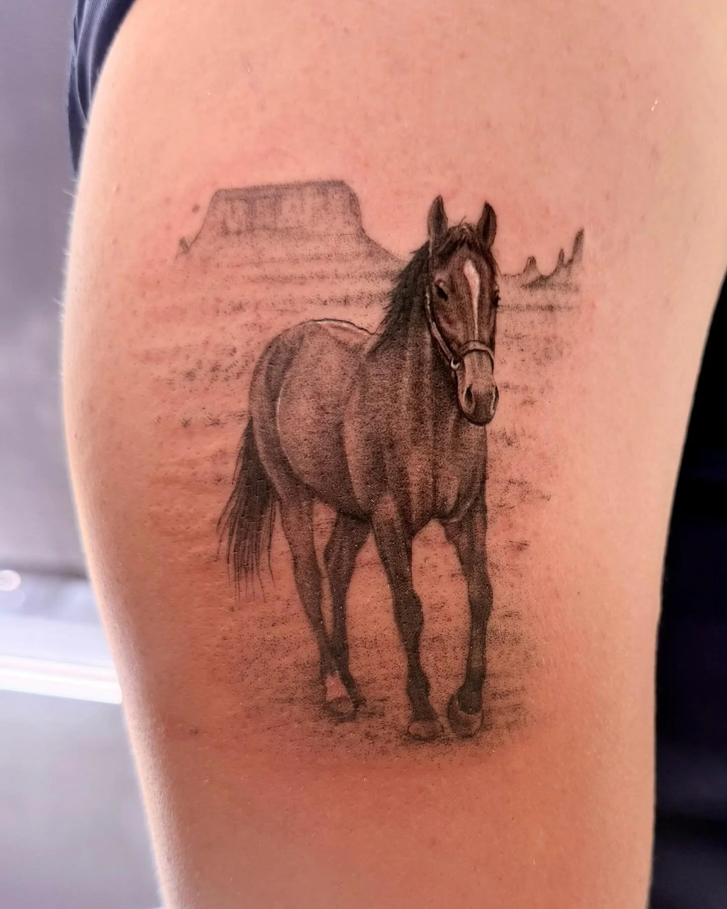 An amazing micro realistic horse! 🐴

@inkandescent.tattoos 

⚜️

Sponsored by:
◾️ @kwadron 
◾️ @dragonhawkofficial 
◾️ @dragonhawktattoos 

#tattoo #tattooing #tattoos #tattooed #horse #horsetattoo #tattooartist #artist #art #tattooshop #tattoostudi