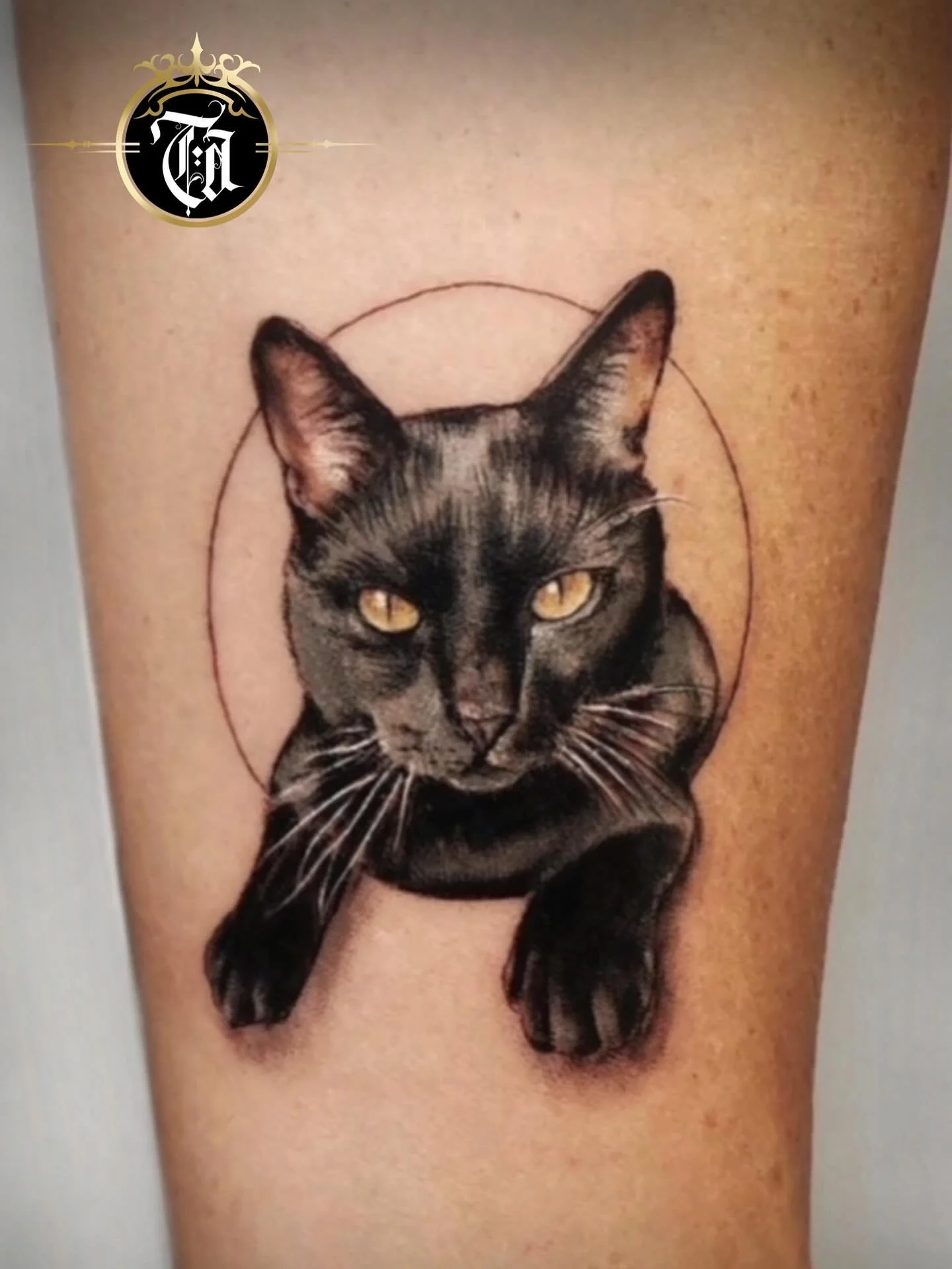 Cat Tattoo 🐈&zwj;⬛

For any similar designs, please send us a DM 

⚜️

@mrtattoolondon 

Sponsored by:
◾️ @kwadron 
◾️ @dragonhawkofficial 
◾️ @dragonhawktattoos 

#tattoo #tattooing #tattoos #tattooed #cat #cattattoo #tattooartist #artist #art #tat