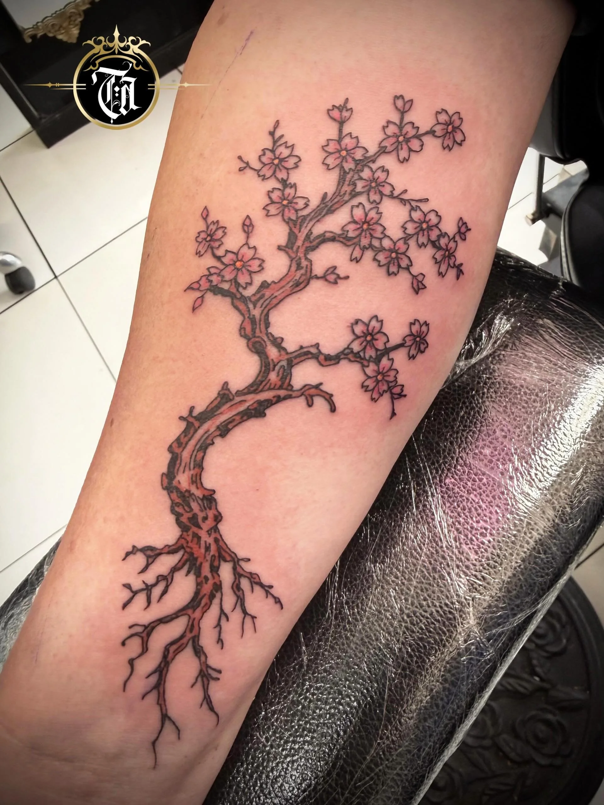 Cherry Blossom Tattoo 🌸💕

⚜️

@inkandescent.tattoos 

⚜️

Sponsored by:
@kwadron 
@dragonhawktattoos 
@dragonhawkofficial 

#tattoo #tattooing #tattoos #tattooed #art